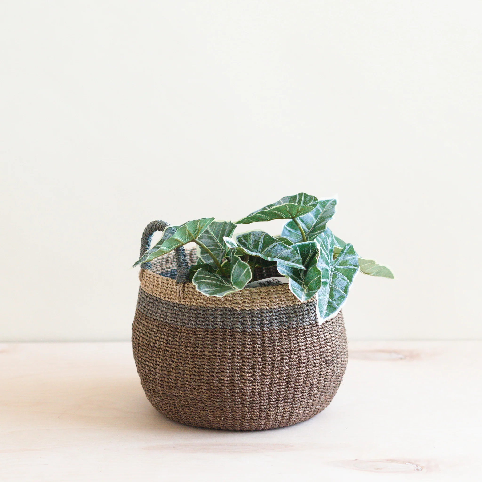 Abaca Bulge Basket - Image 2