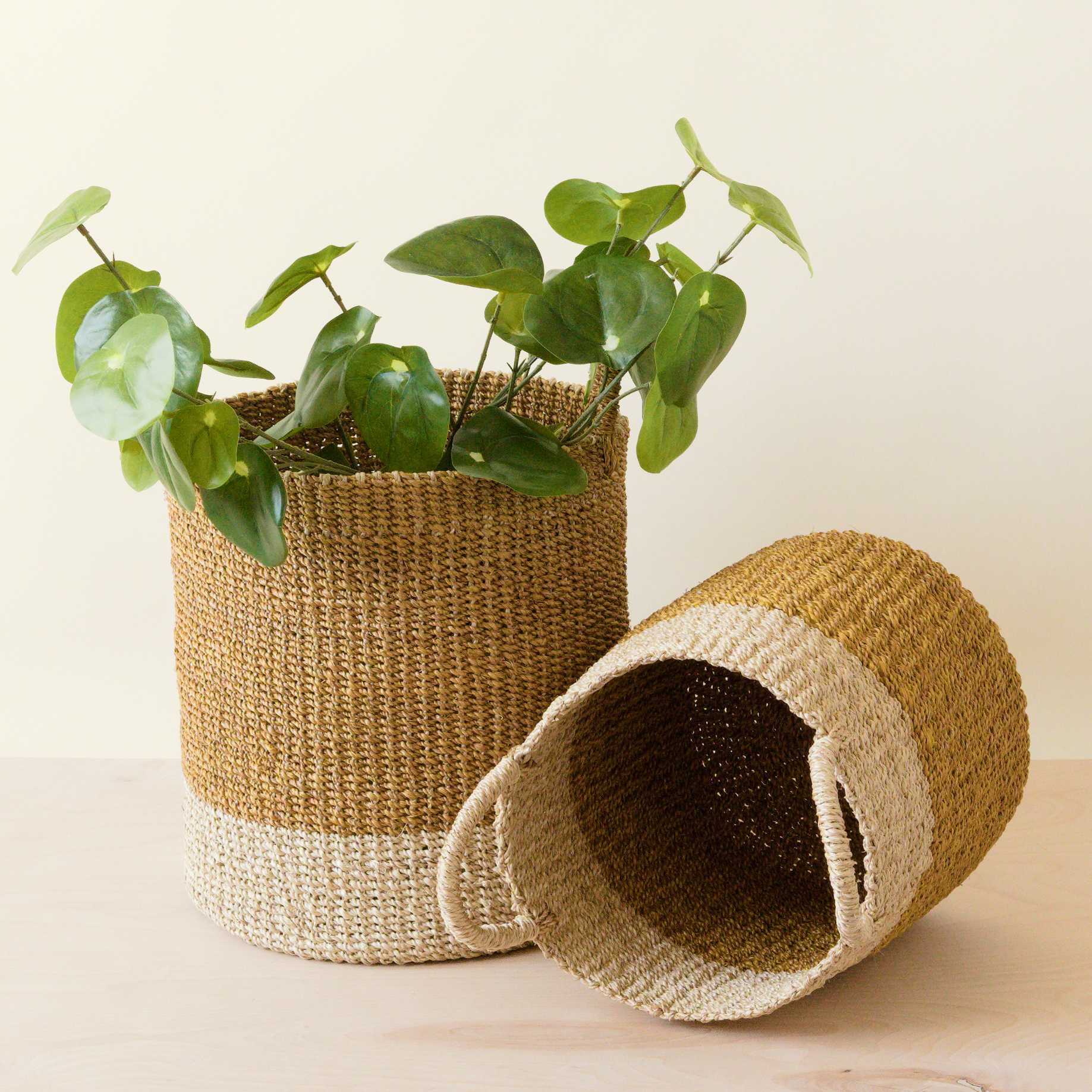 Abaca Cylinder Basket with Handles, Set of 2 - Image 5