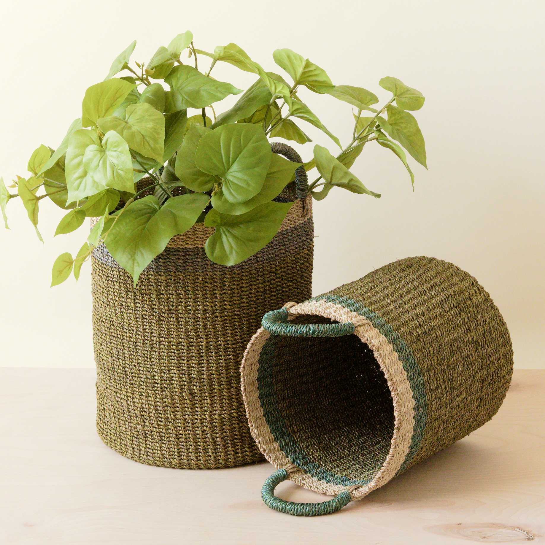 Abaca Cylinder Basket with Handles, Set of 2 - Image 5