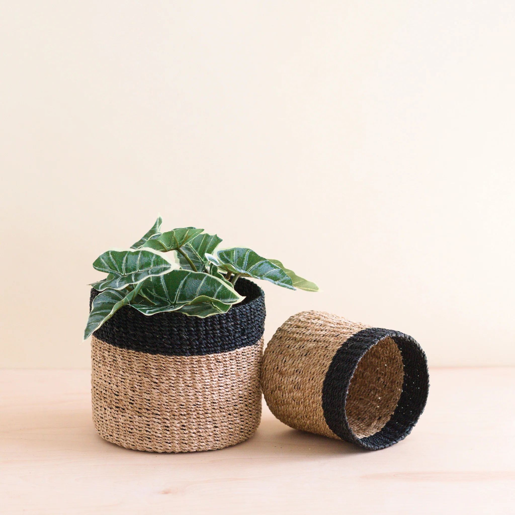 Abaca Cylinder Tabletop Basket, nested set of 2 - Image 7