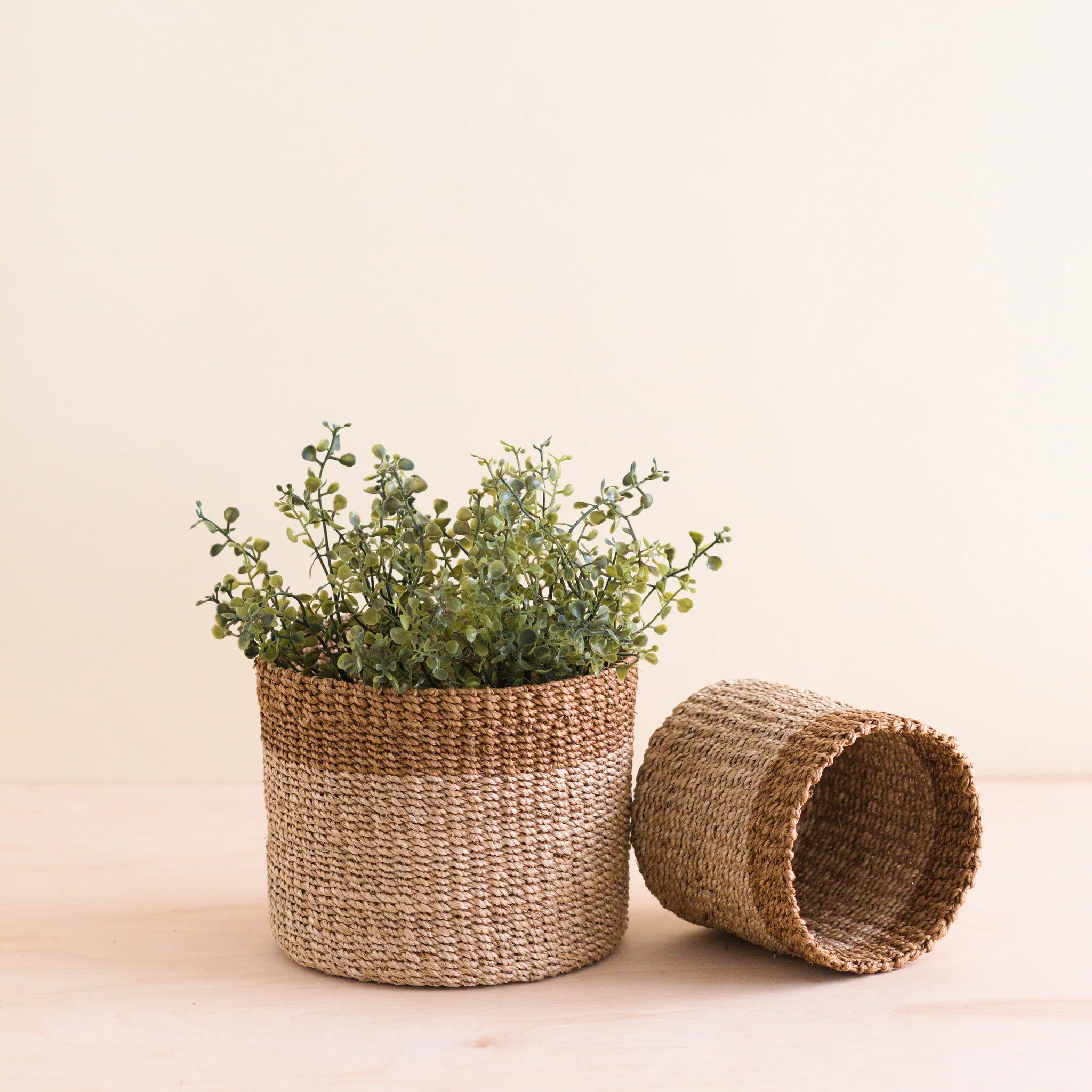 Abaca Cylinder Tabletop Basket, nested set of 2 - Image 3