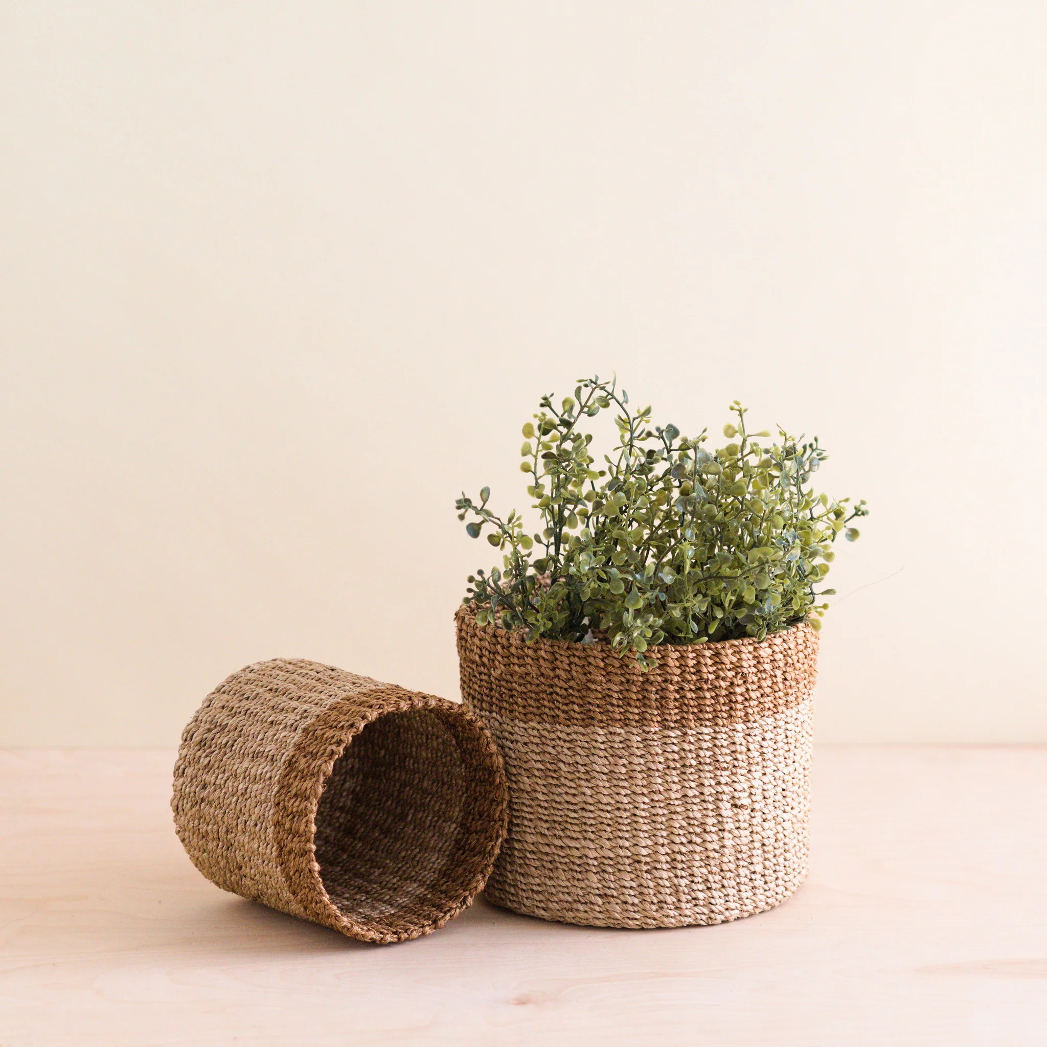 Abaca Cylinder Tabletop Basket, nested set of 2 - Image 4