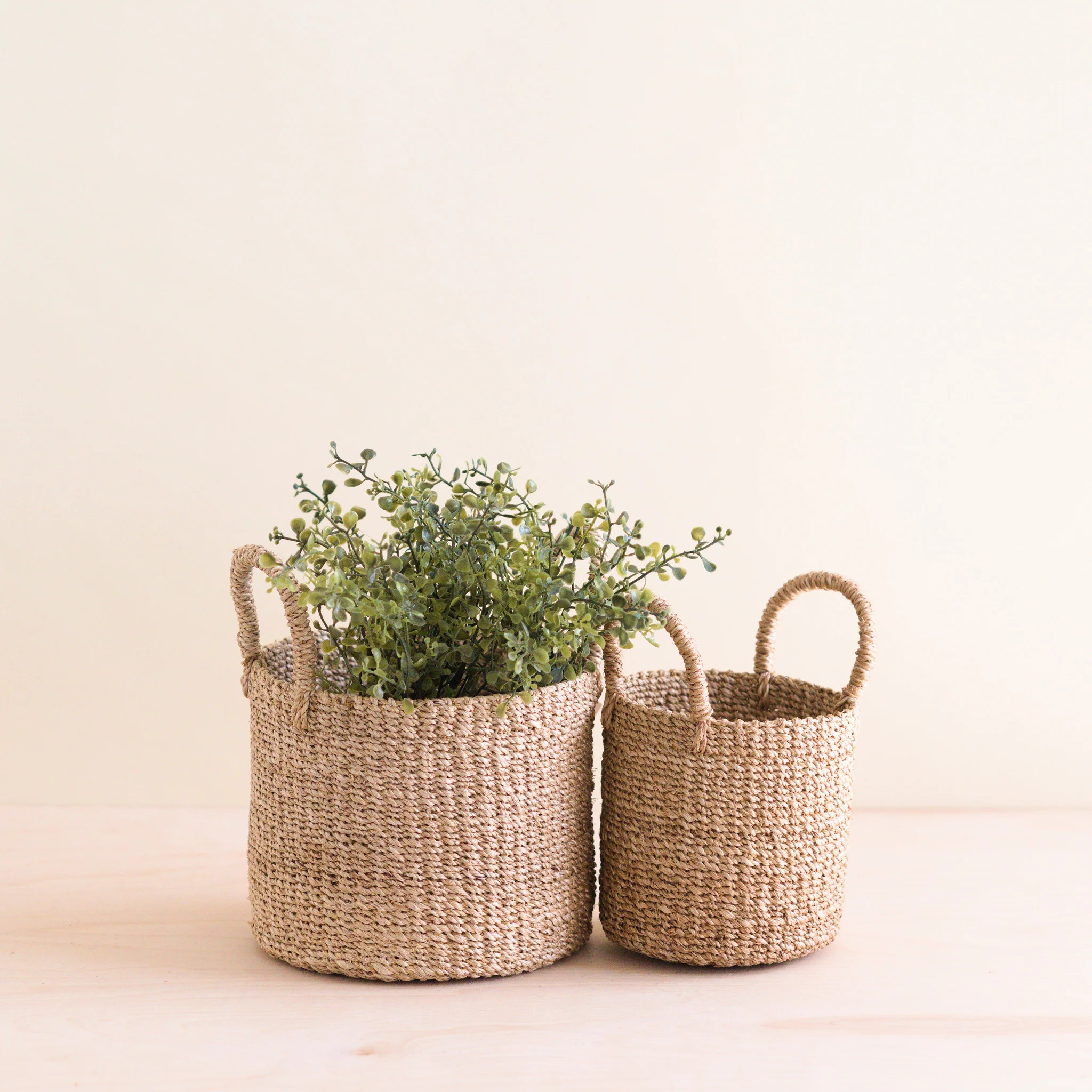 Abaca Cylinder Tabletop Basket with Handles, Set of 2 - Image 3