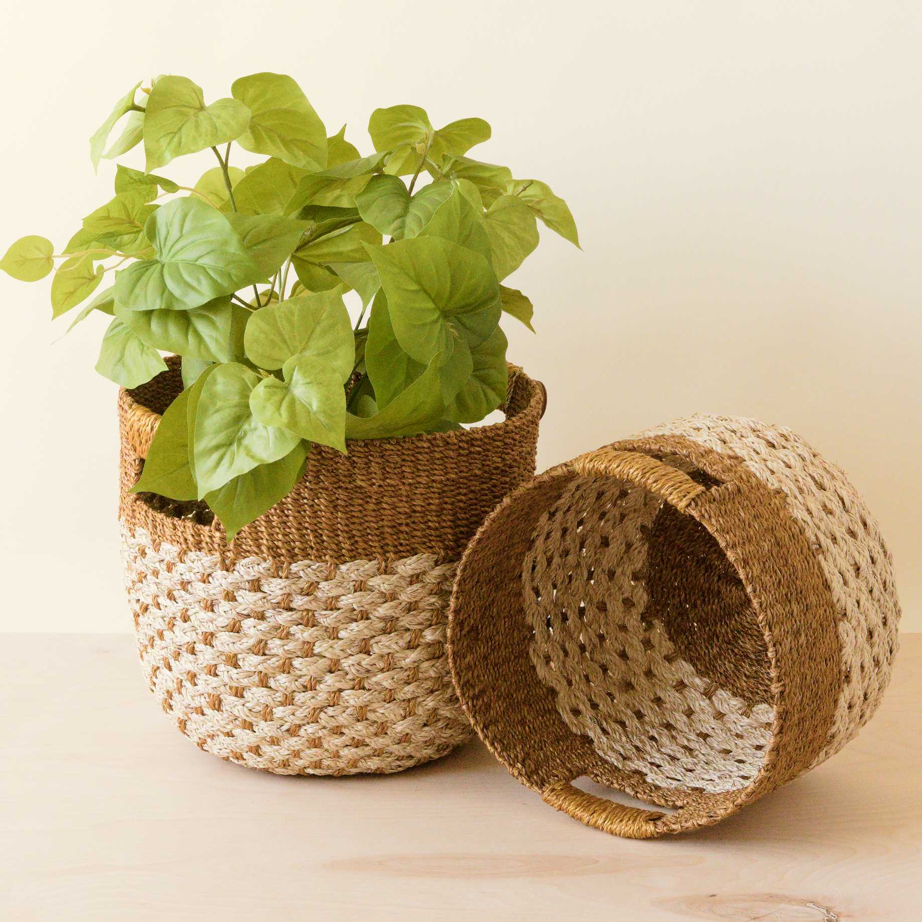 Abaca Round Bottom Basket, nested set of 2 - Image 6