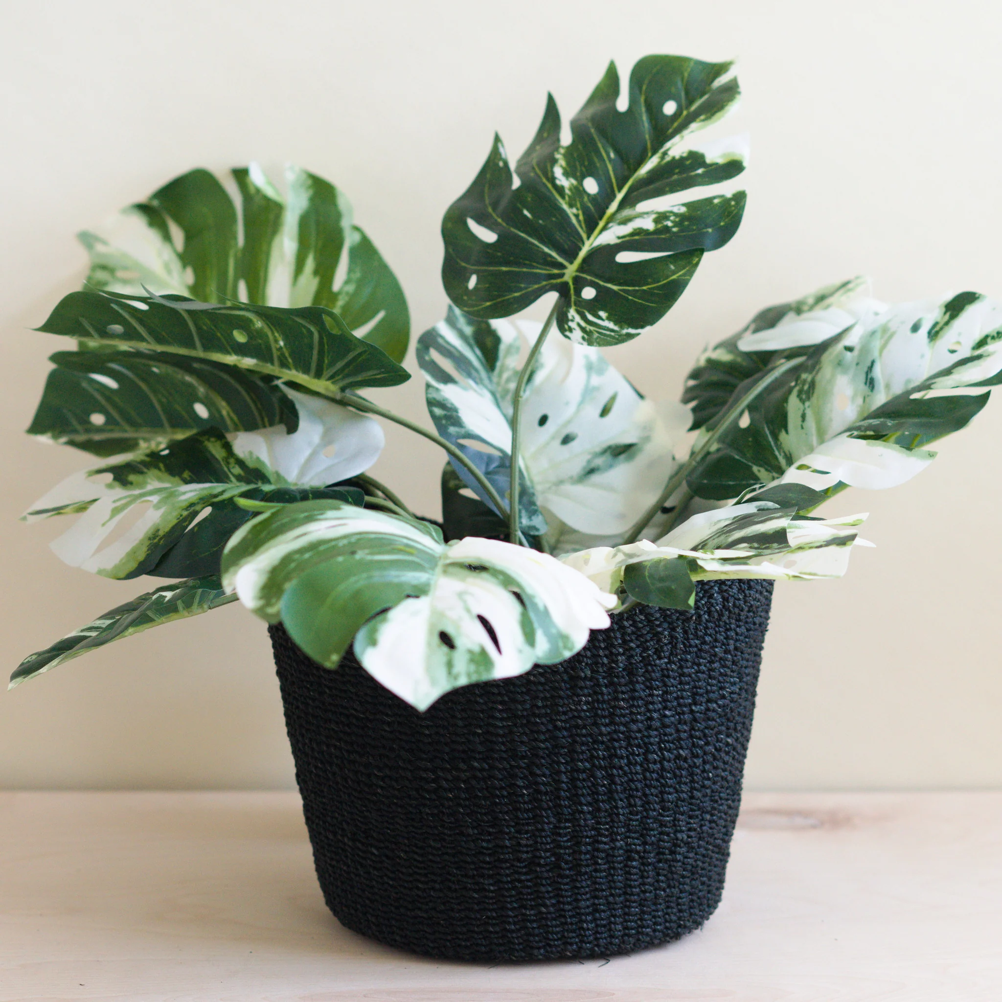 Abaca Scallop Basket - Image 4