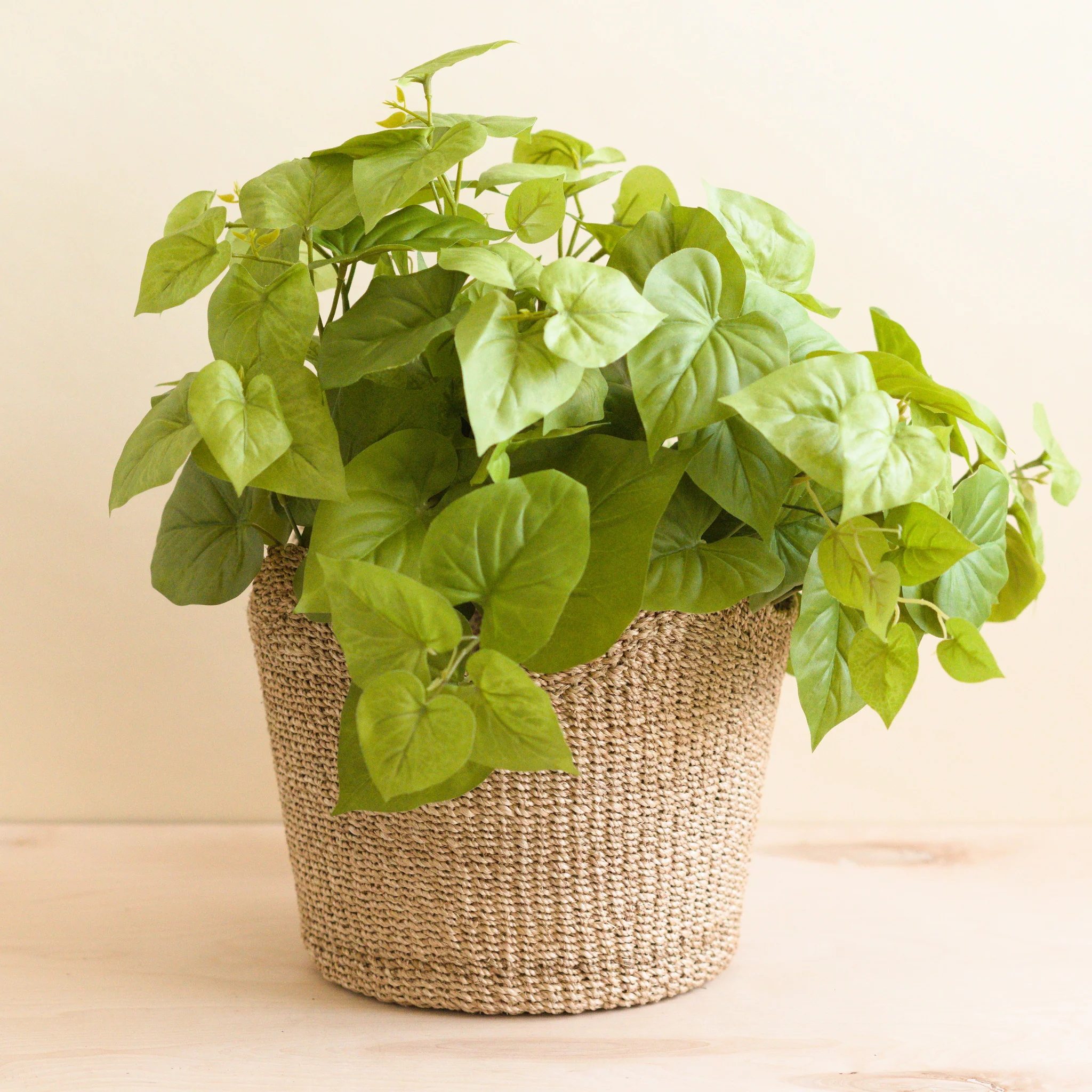 Abaca Scallop Basket - Image 4