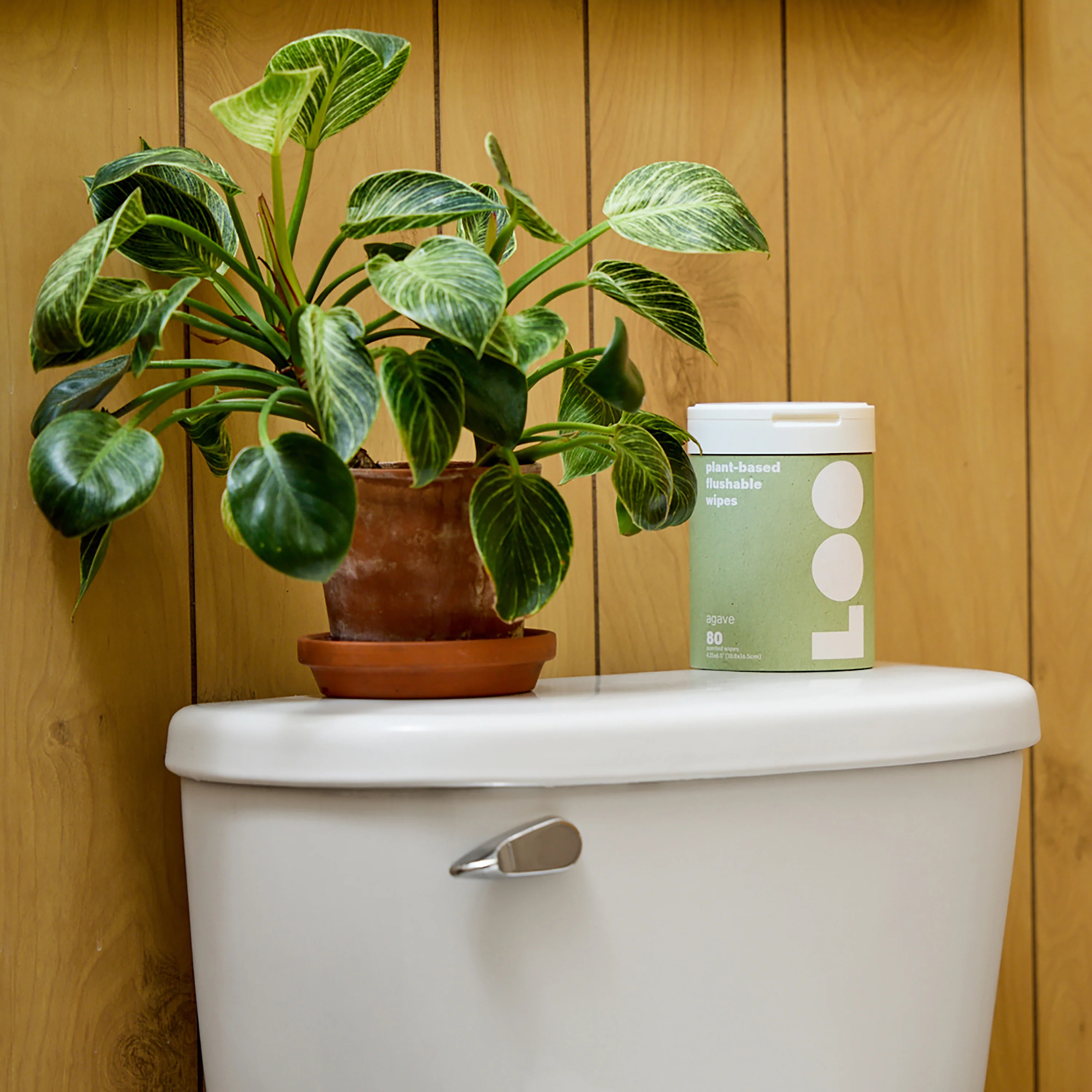 Agave Flushable Wipes - Image 4