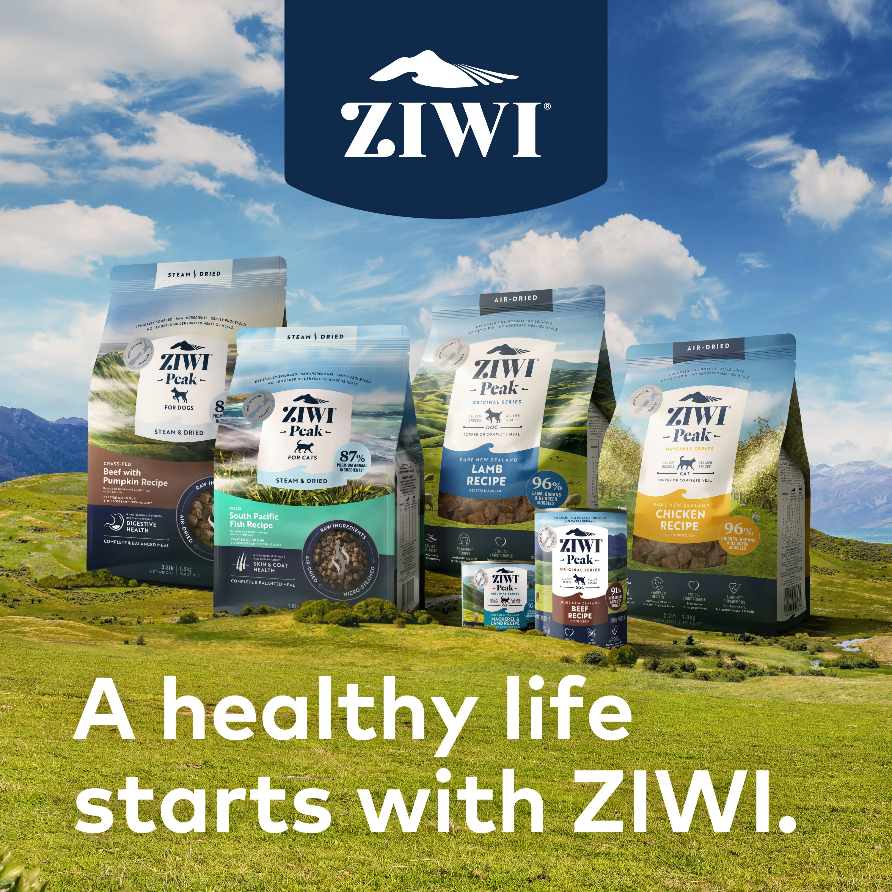 Air-Dried Cat Food- All Natural, High Protein, Grain Free, Limited Ingredient w/ Superfoods - Image 9