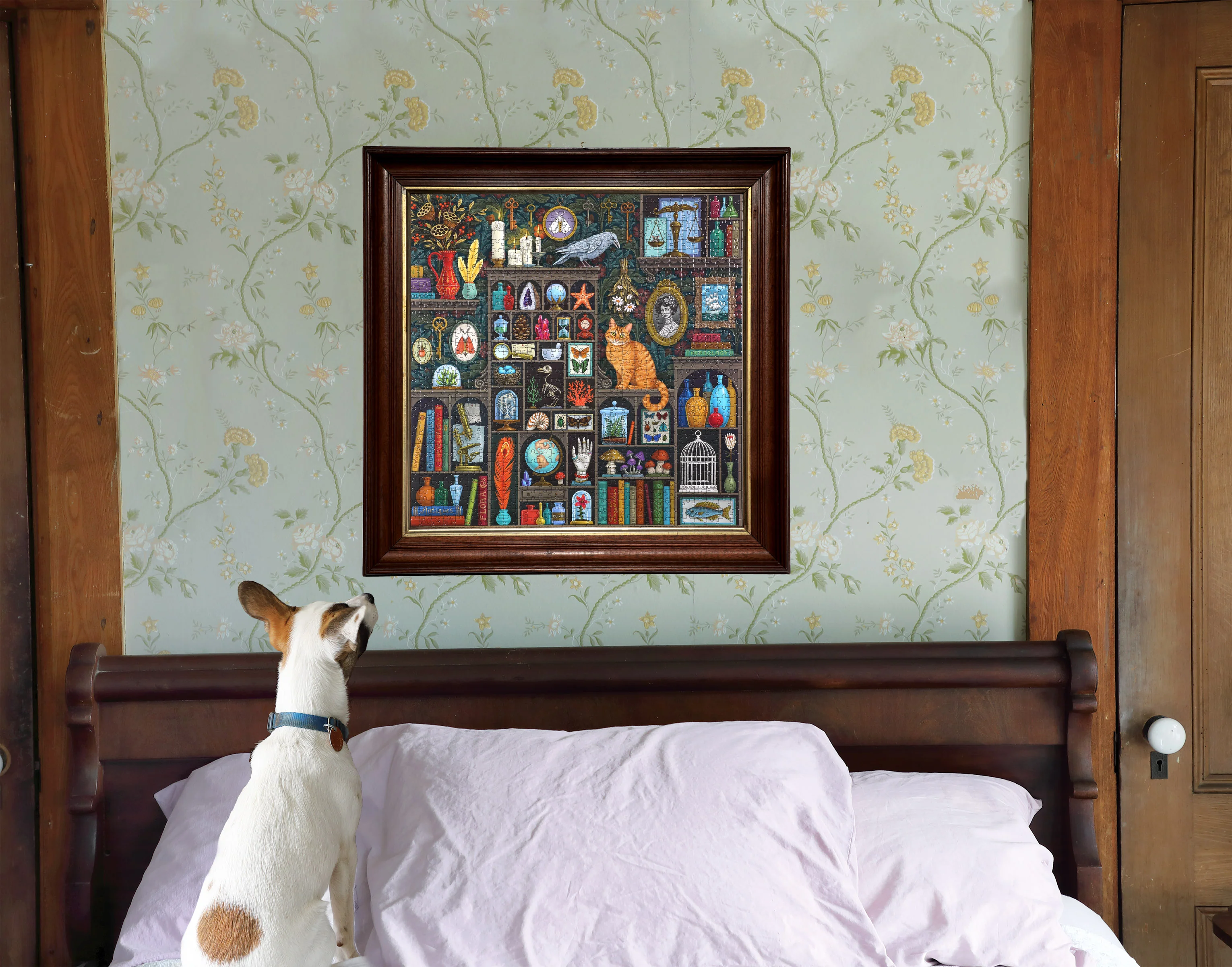 Alchemist's Cabinet 1000 Piece Puzzle - Image 3