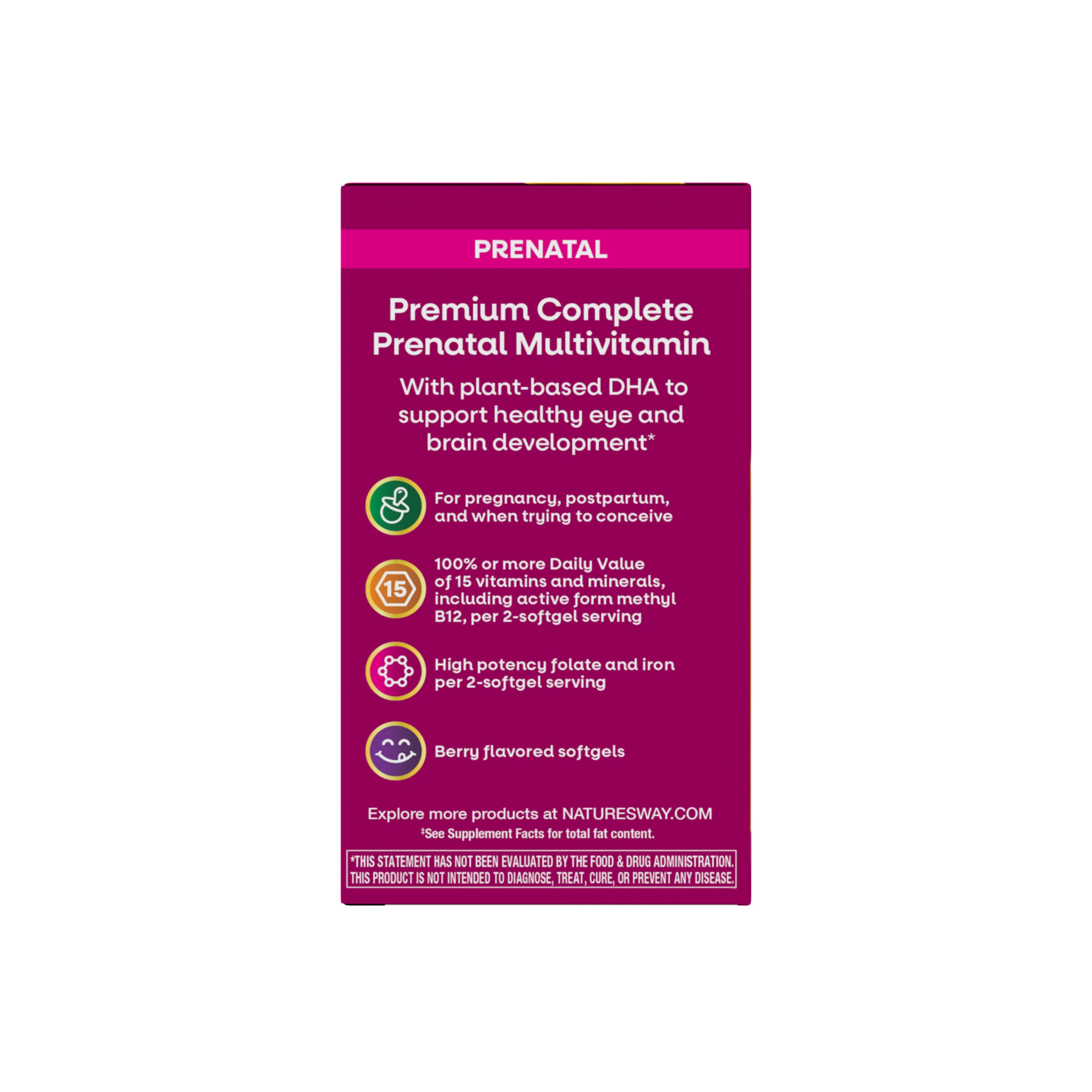 Alive!® Premium Prenatal Multivitamin - Image 11