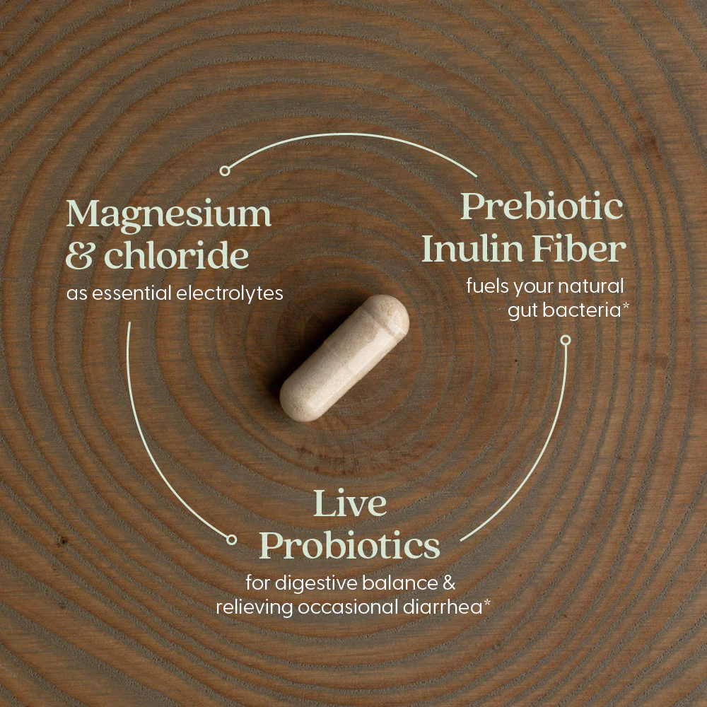 All Flora Probiotic Flora Fortify - Image 7