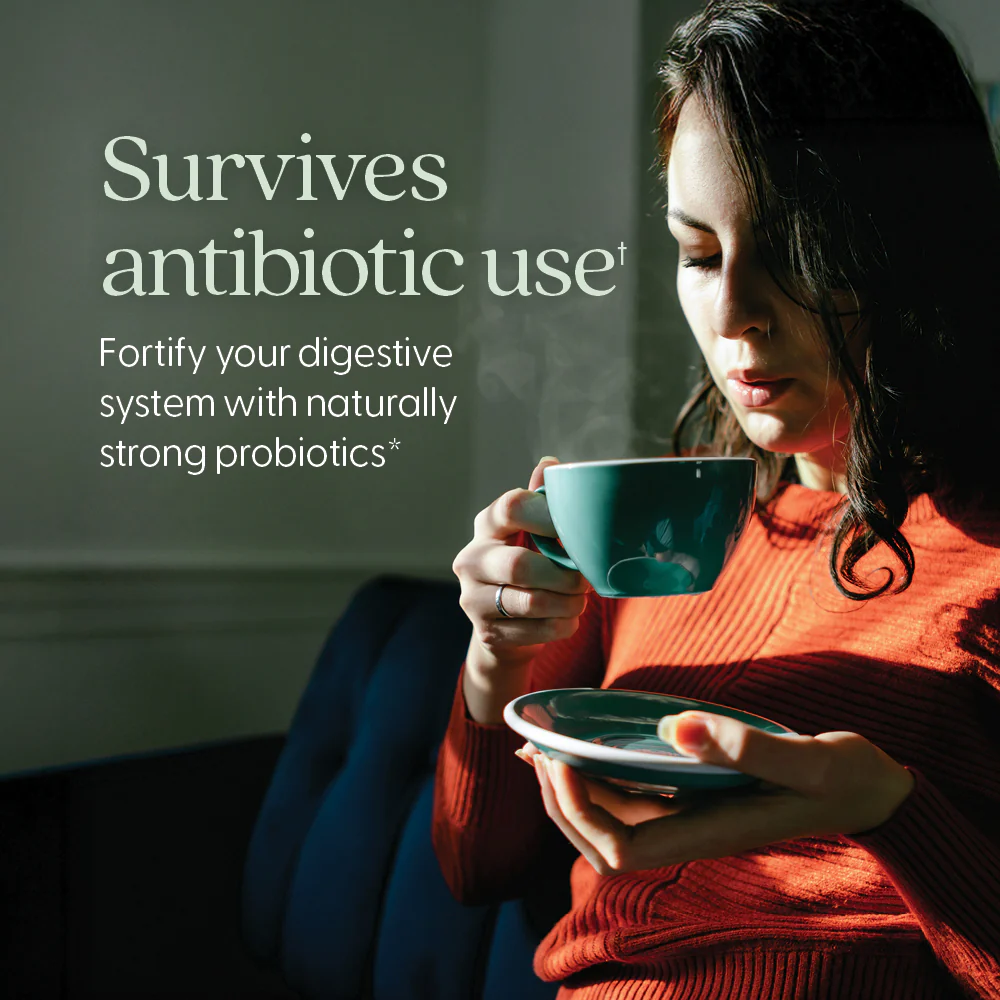All Flora Probiotic Flora Fortify - Image 8
