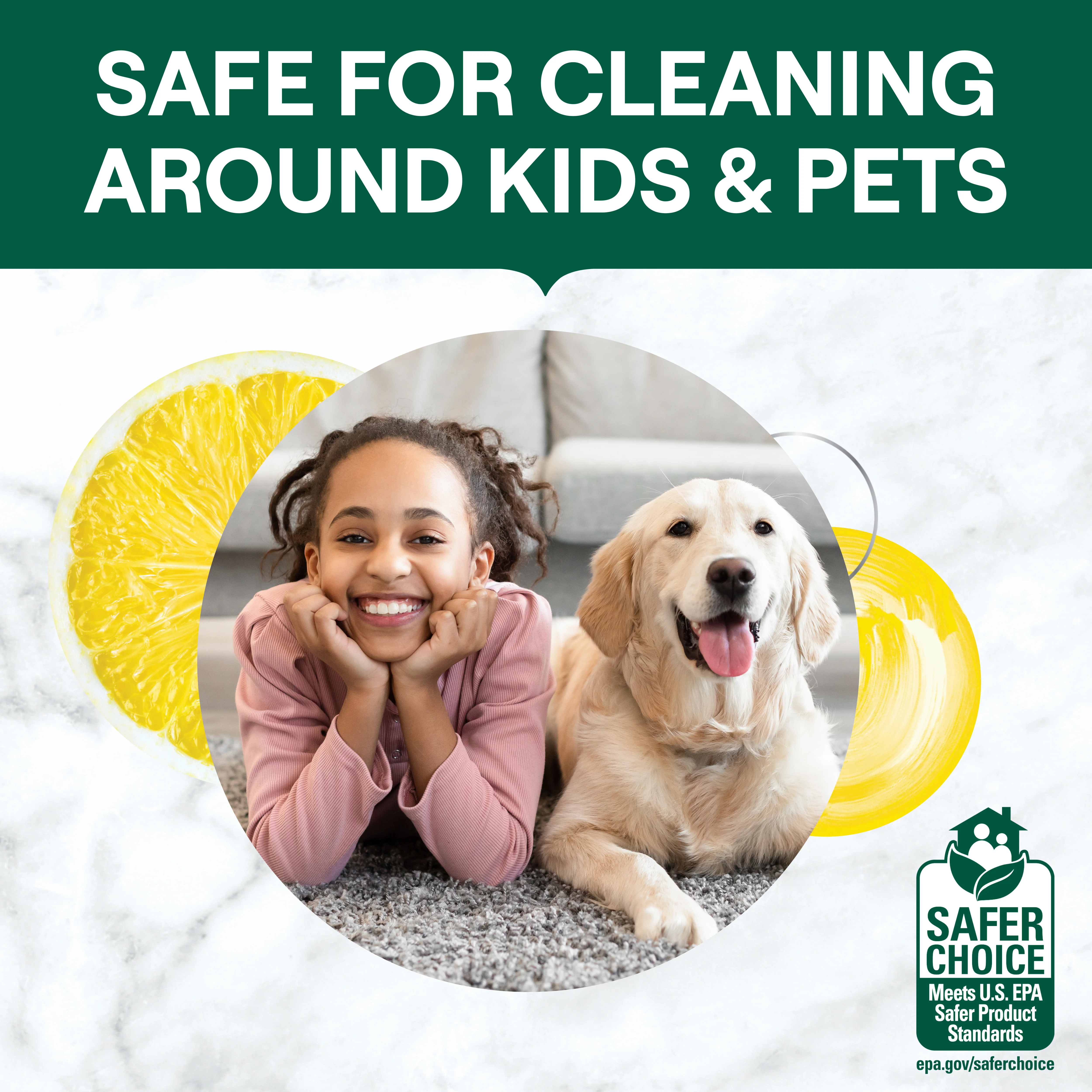 All Purpose Cleaner - Image 32