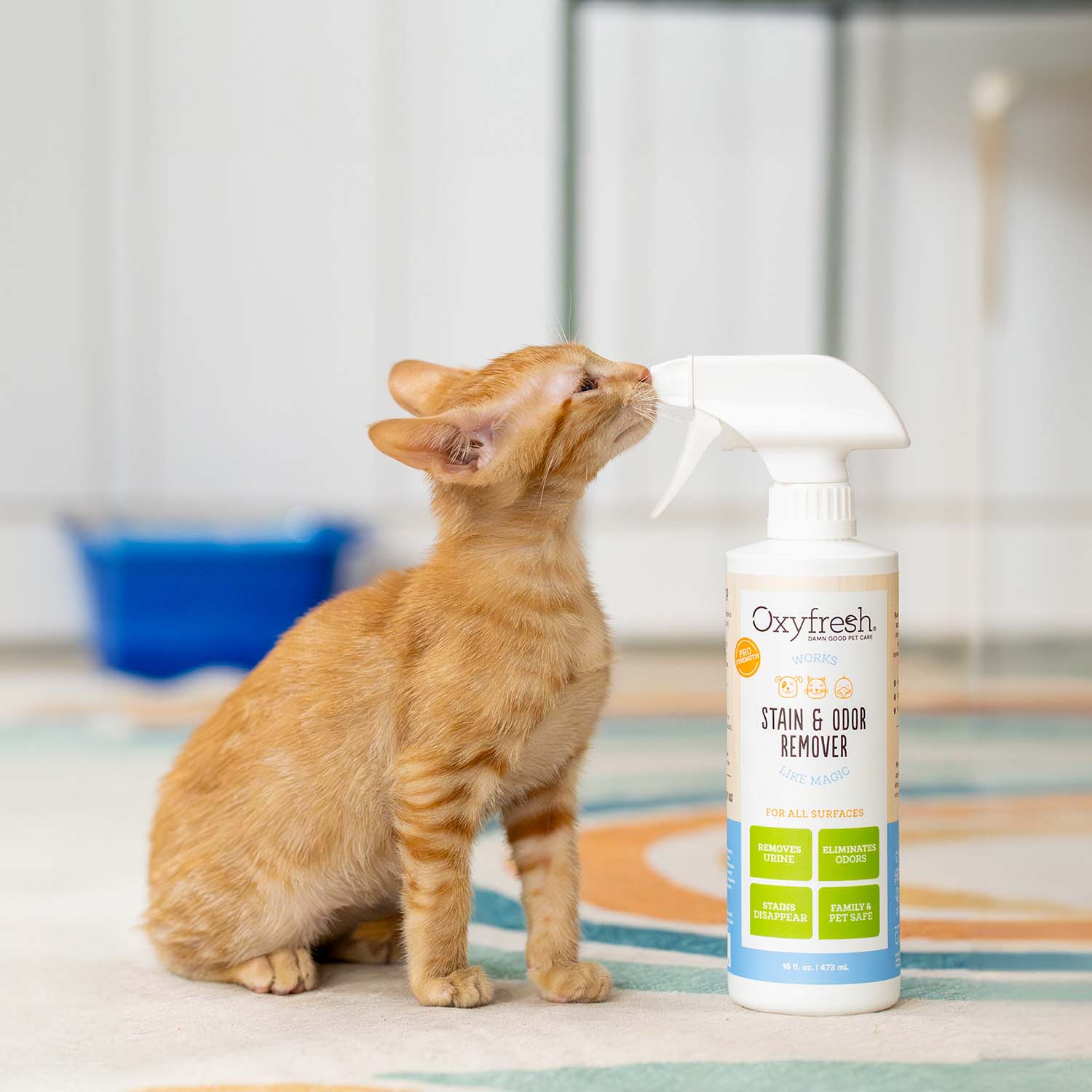 All-Surface Pet Stain & Odor Eliminator - Image 4
