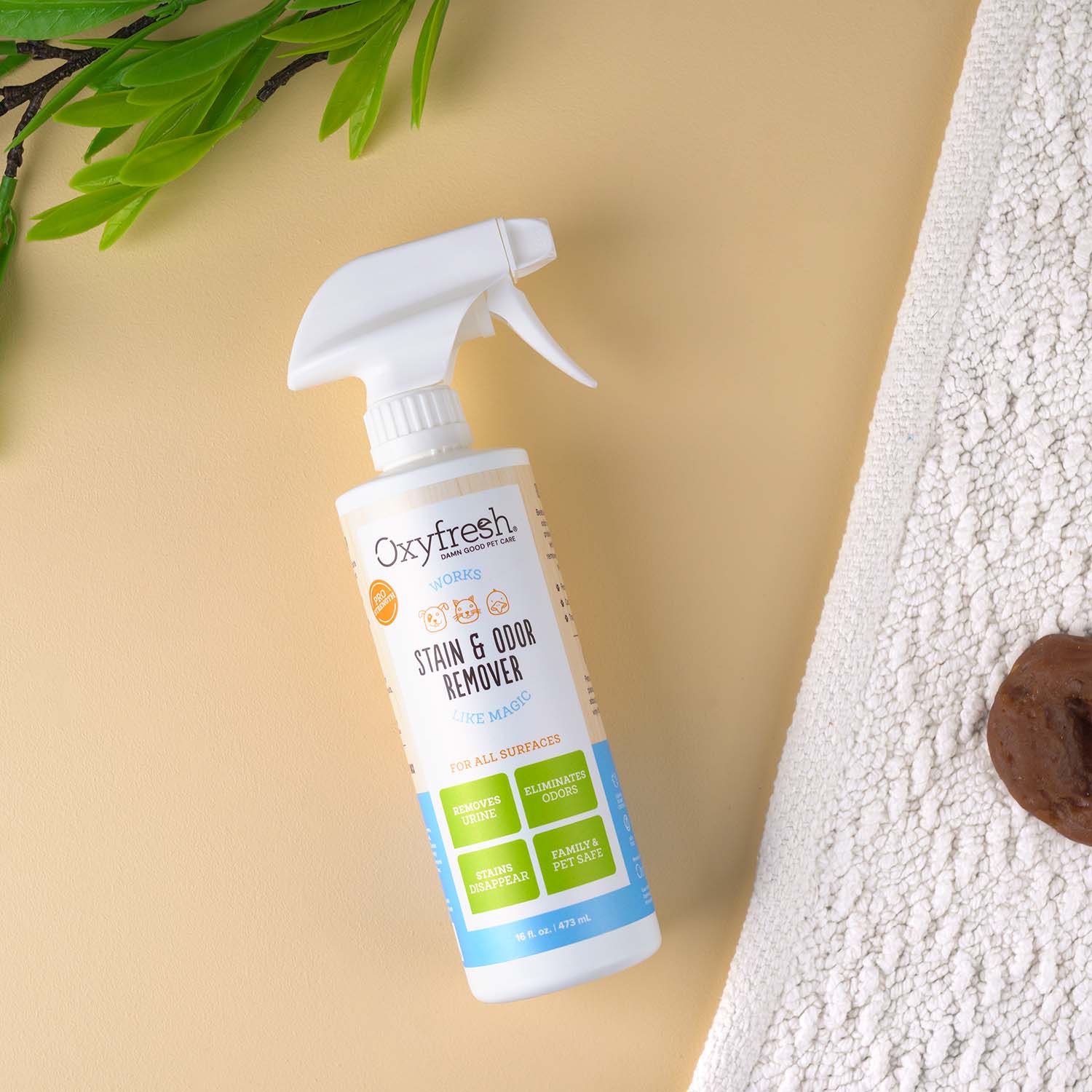 All-Surface Pet Stain & Odor Eliminator - Image 5