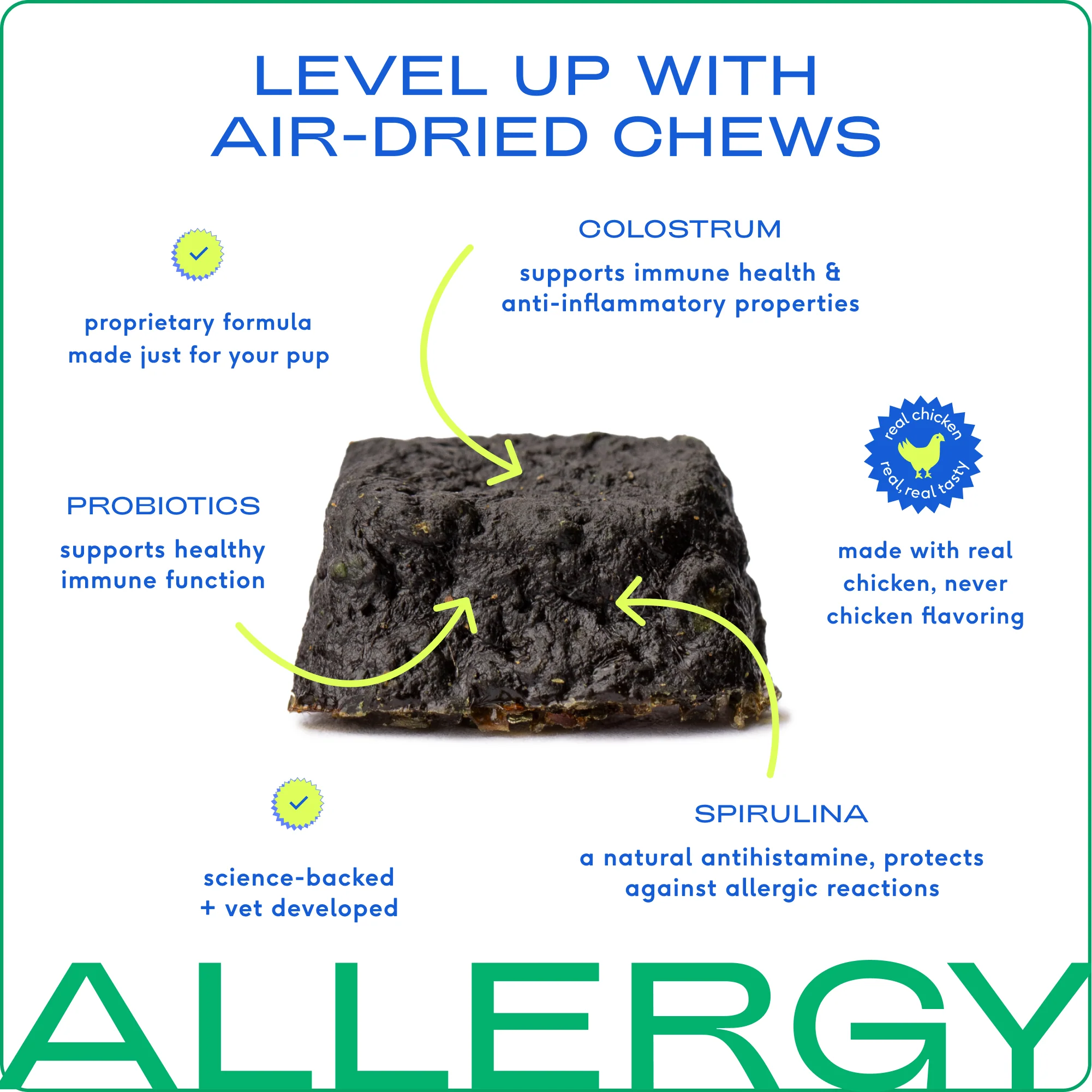 Allergy Chews Supplement for Dogs - Image 7