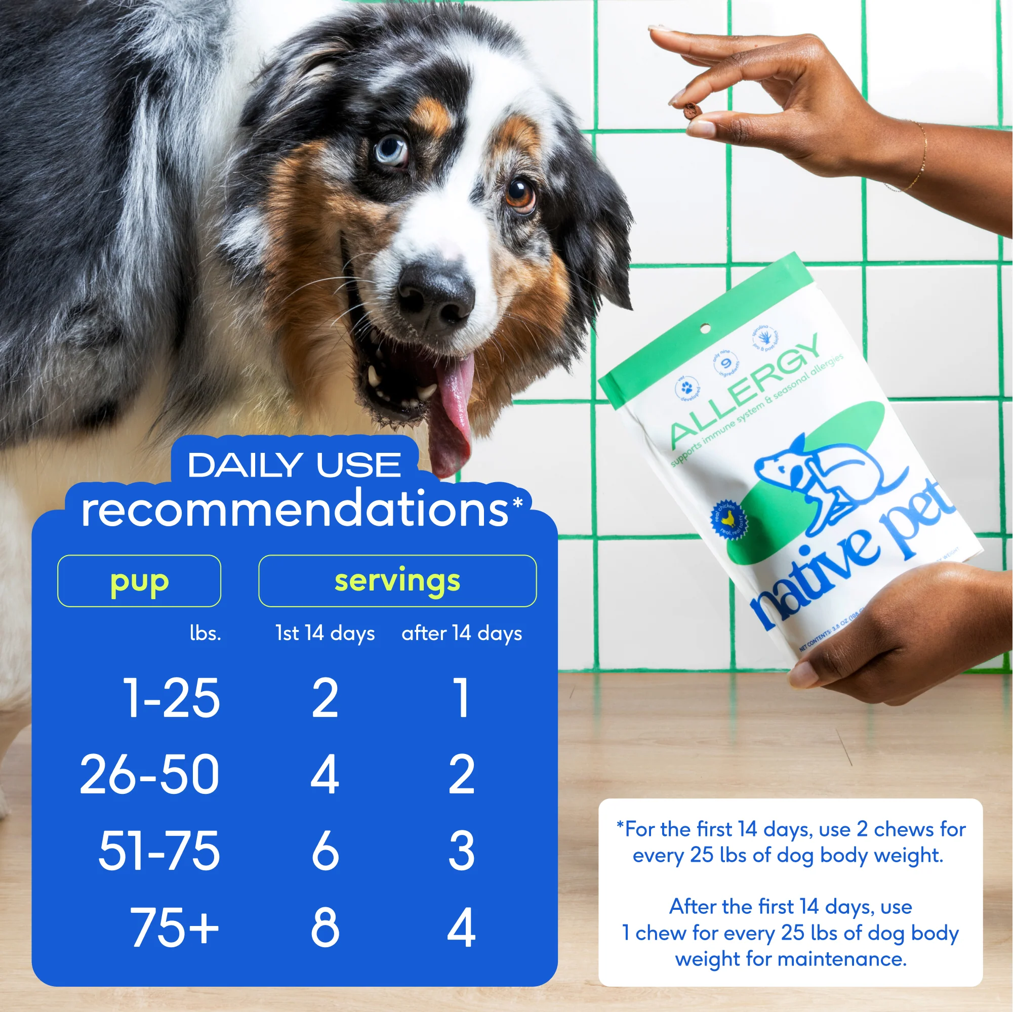 Allergy Chews Supplement for Dogs - Image 8