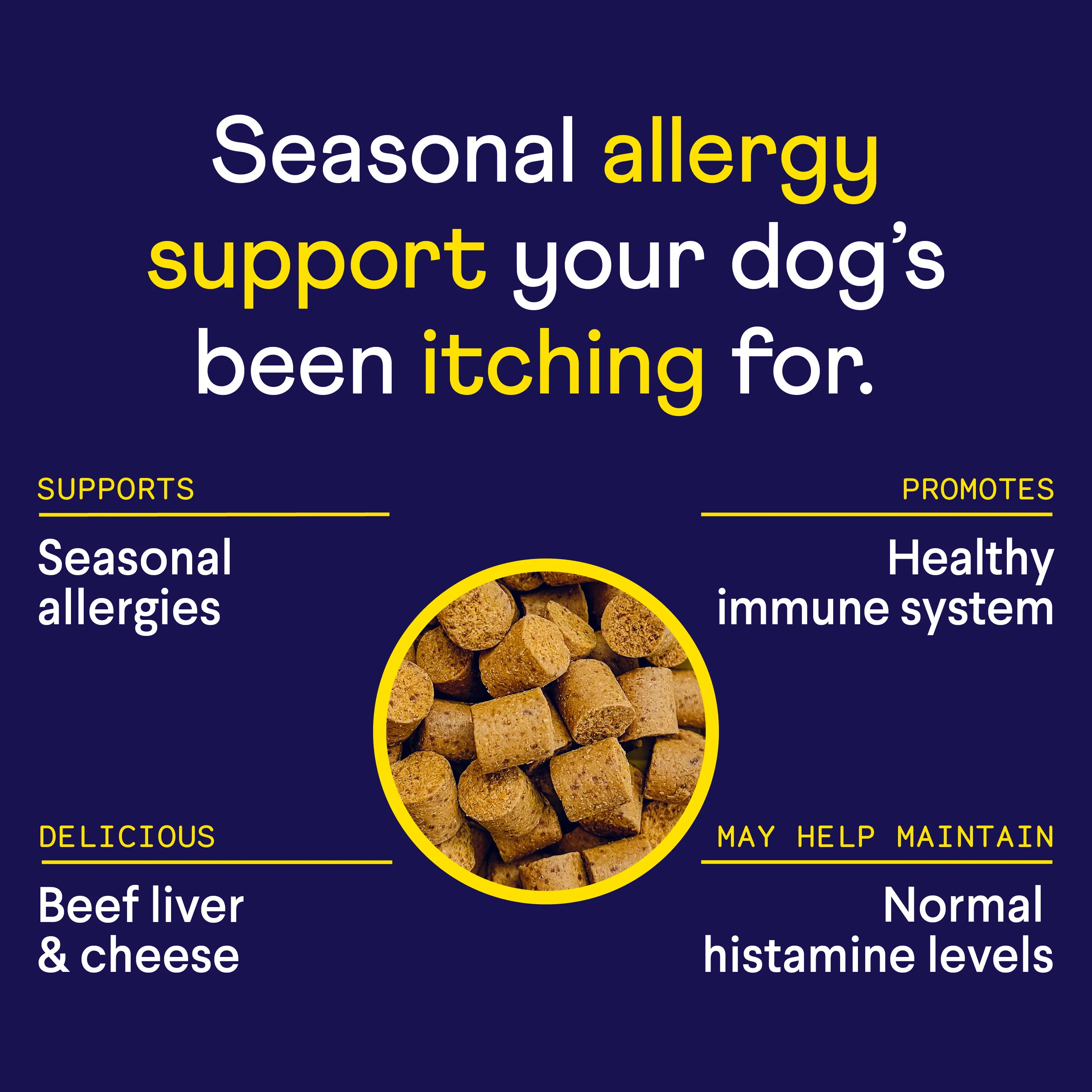 Allergy & Itch Supplement For Dogs - Image 5