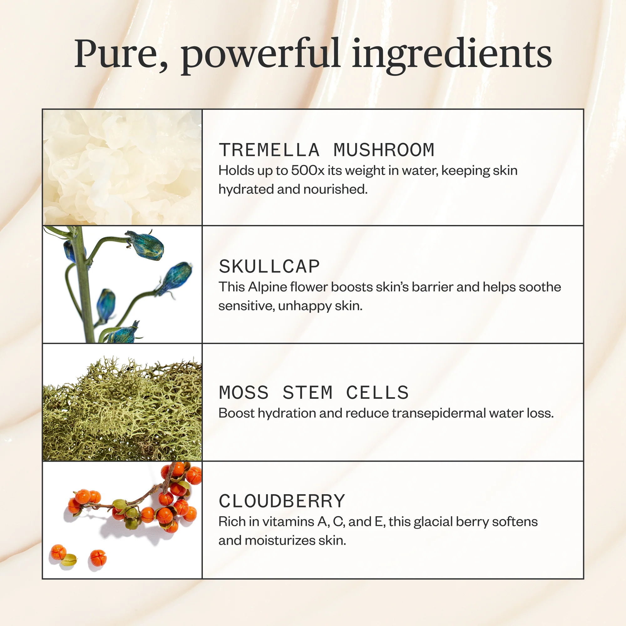 Alpine Rich Cream - Image 6