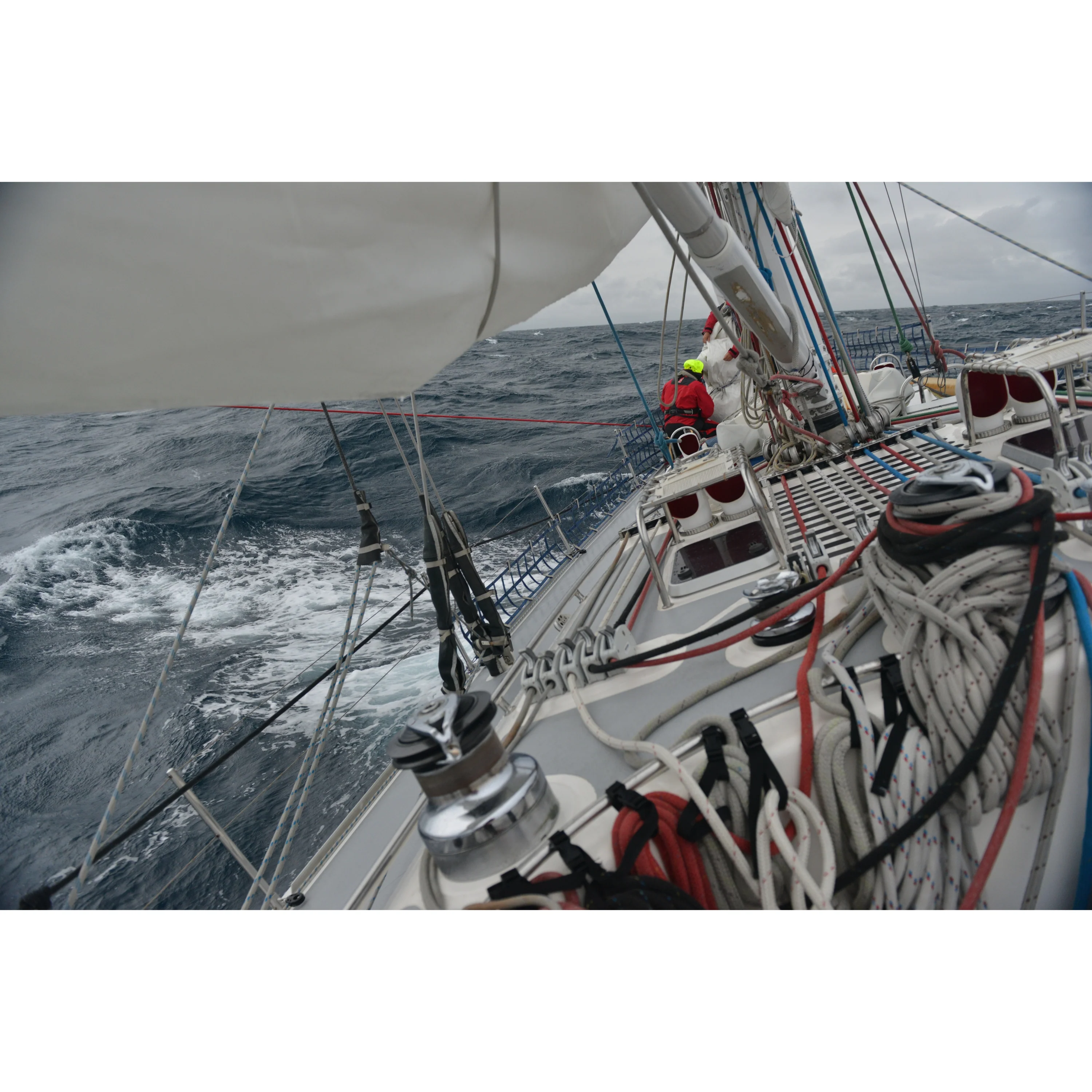 Protect People and Planet from Microplastics - Image 5