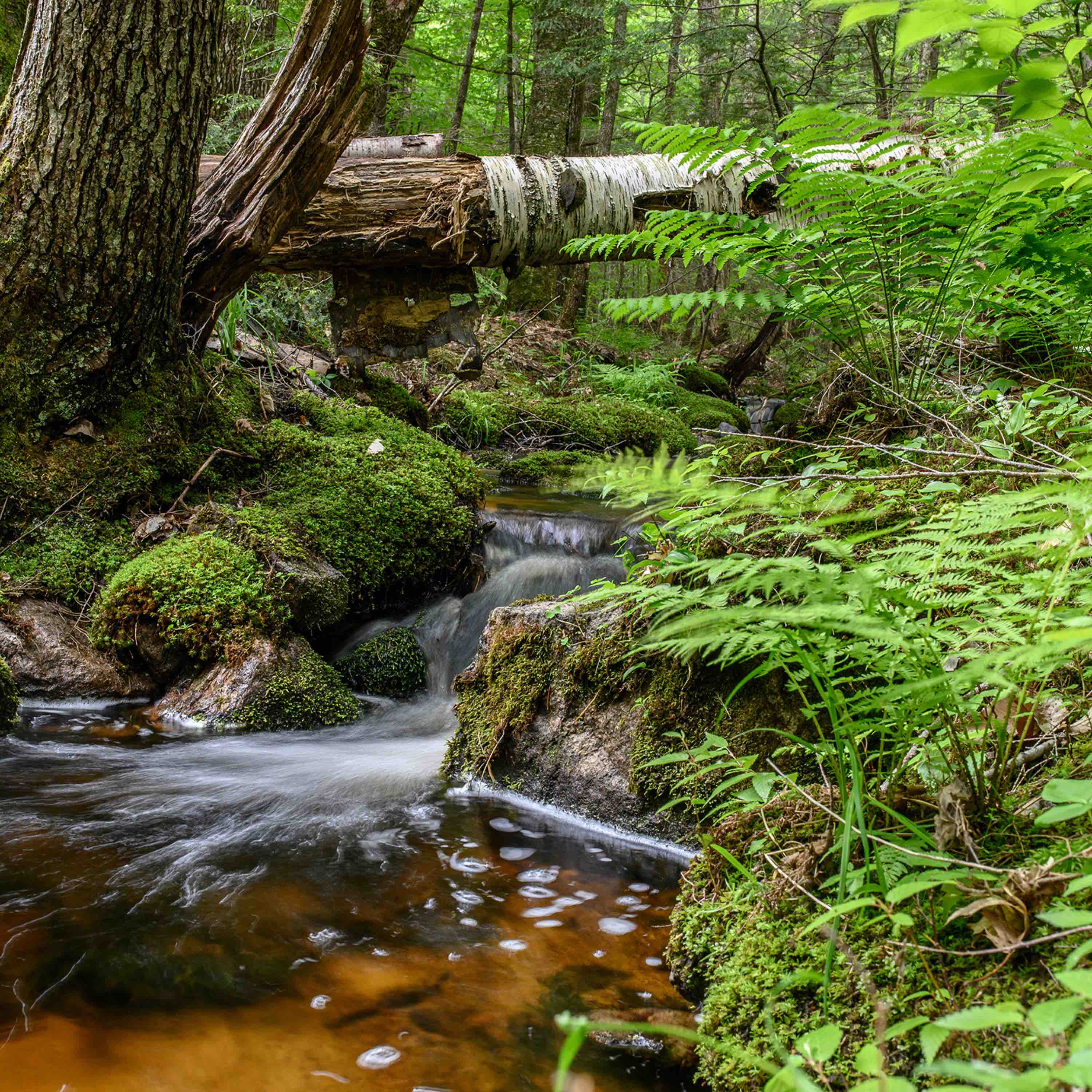 Protect Safe Drinking Water in Maine - Image 13