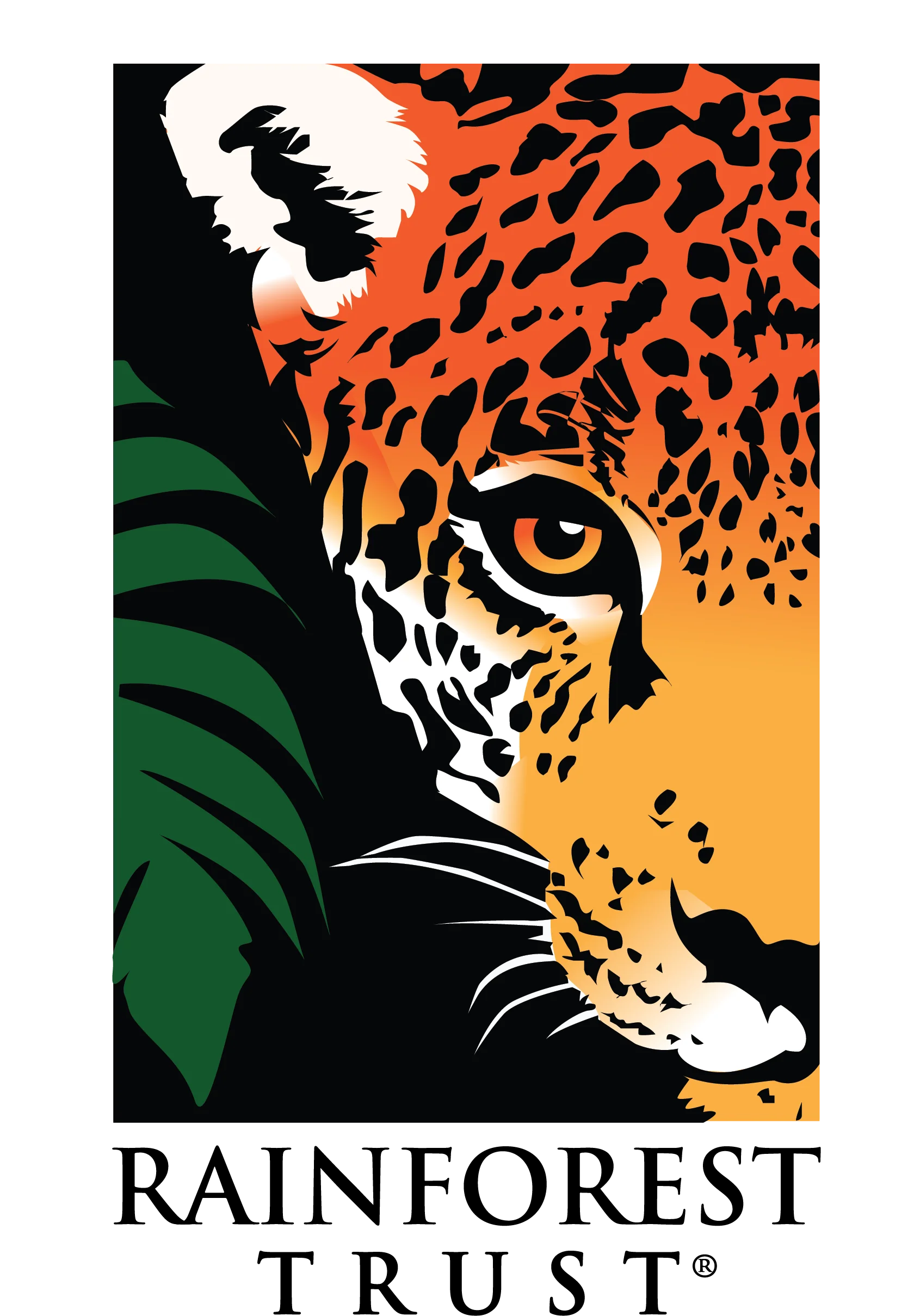 Safeguard Critical Rainforest Habitat - Image 4