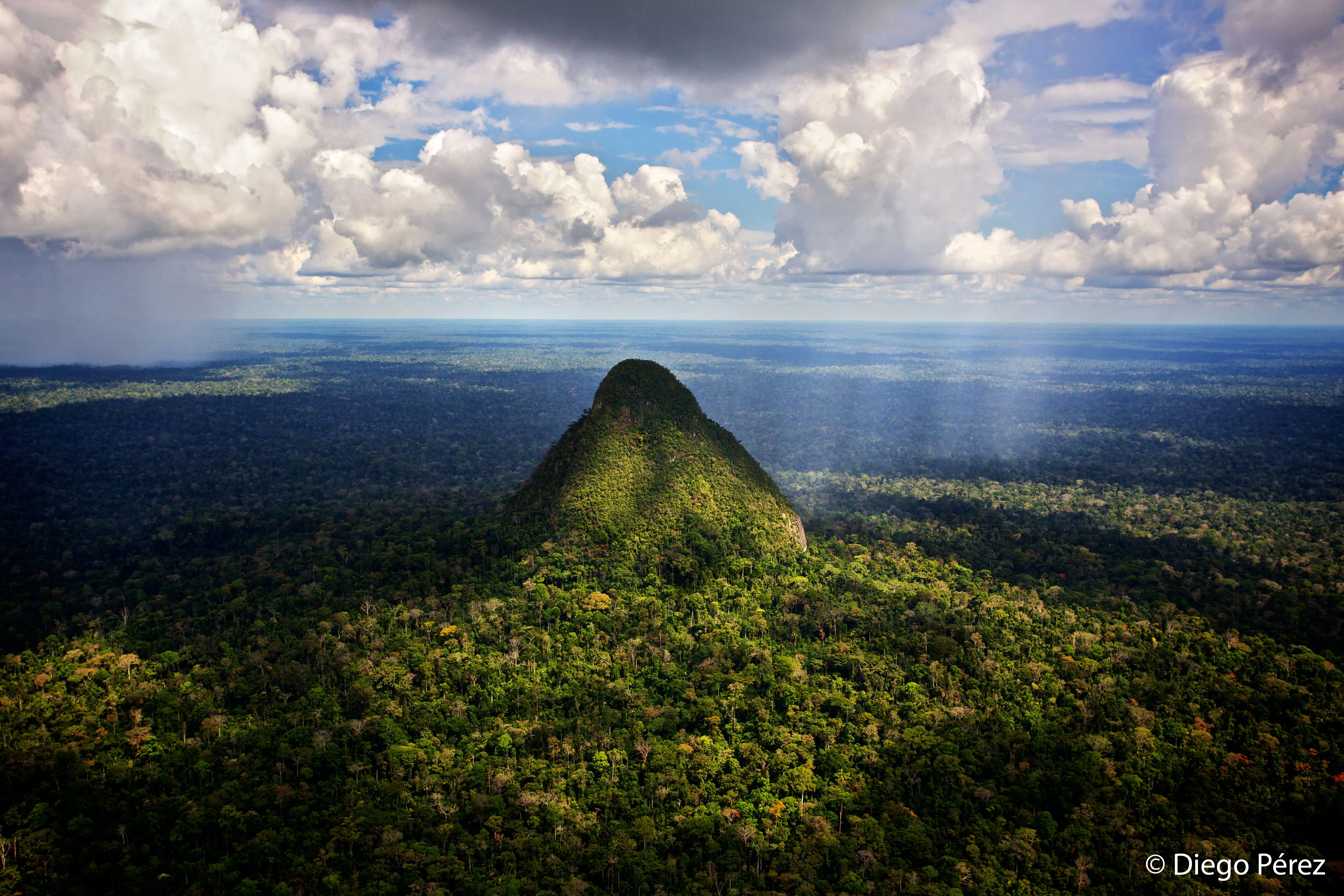 Safeguard Critical Rainforest Habitat - Image 5