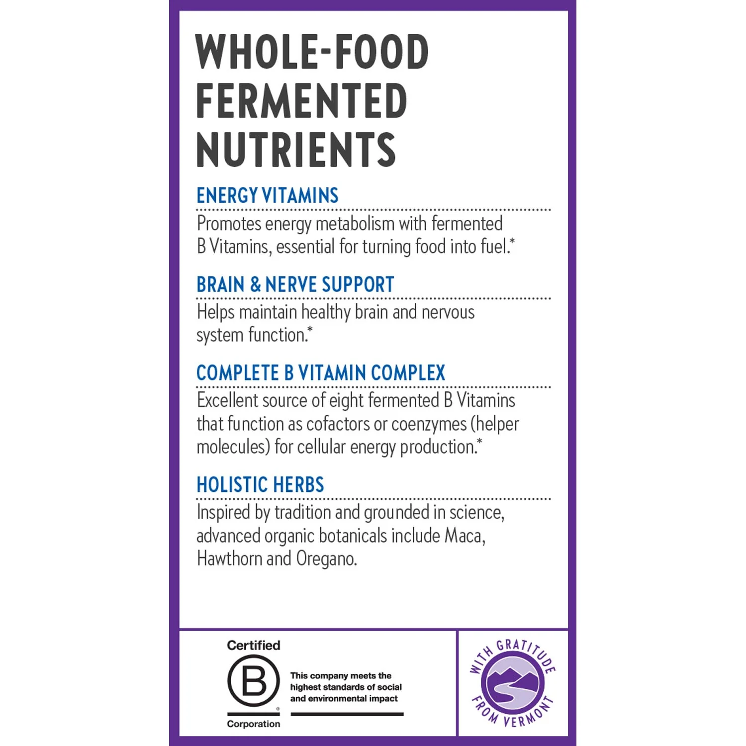 Fermented Coenzyme B Complex, Energy & Nervous System Support - Image 4