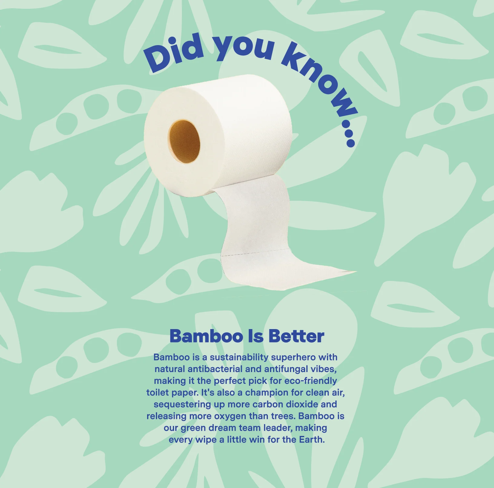 Ultra Soft 3-ply Bamboo Toilet Paper (300 sheets per roll) - Image 6