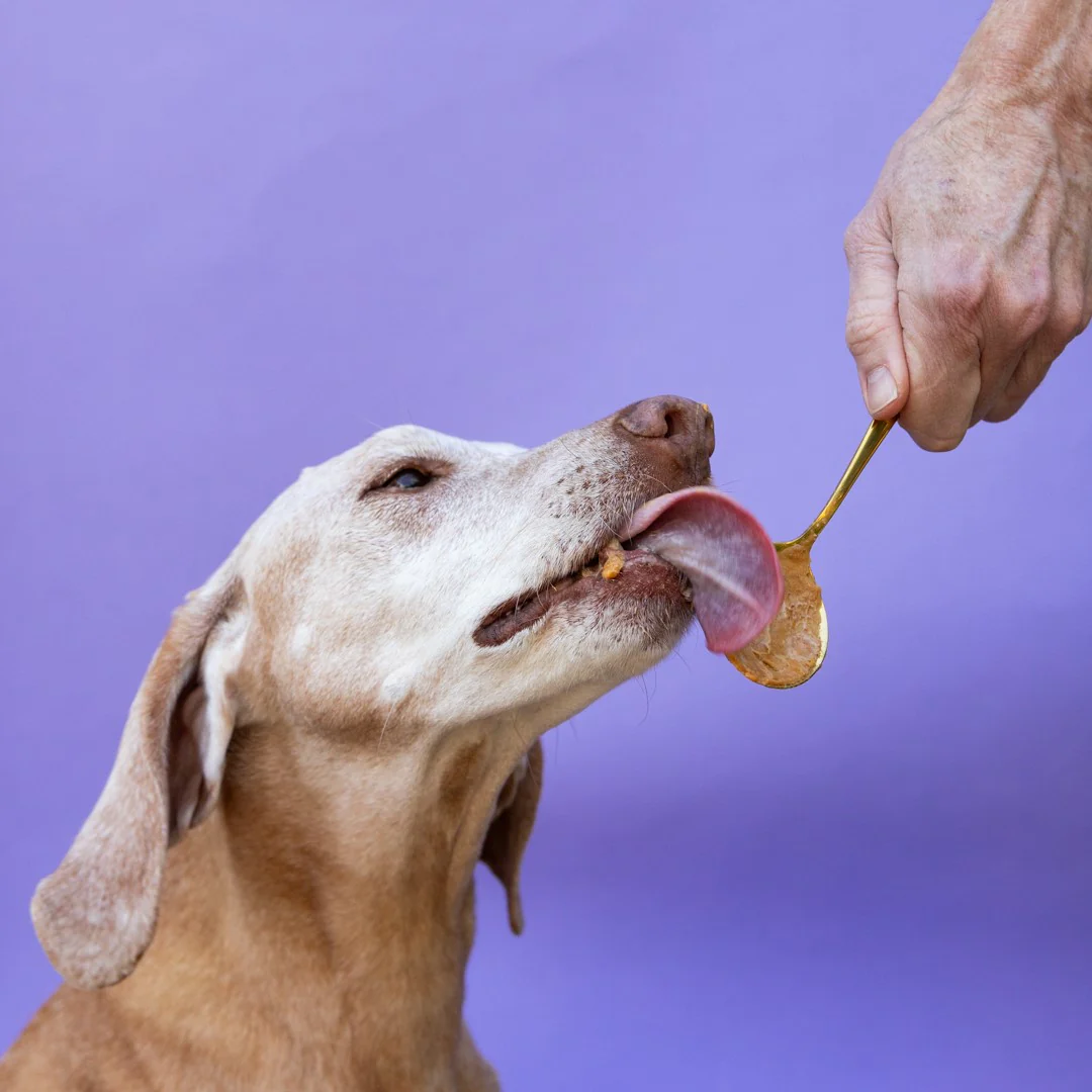 Banana Flax Wag Butter - Image 5
