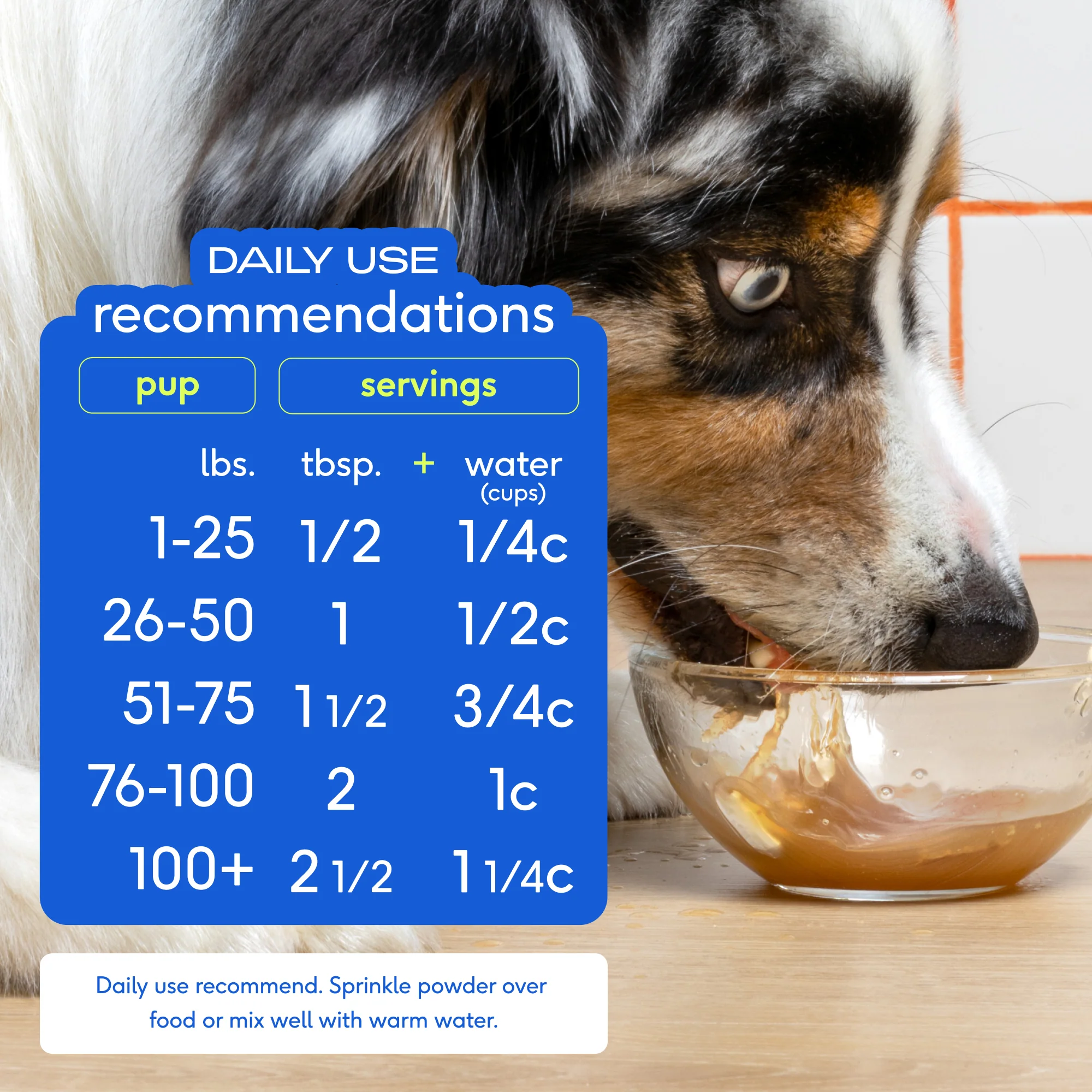 Beef Bone Broth Topper for Dogs - Image 8