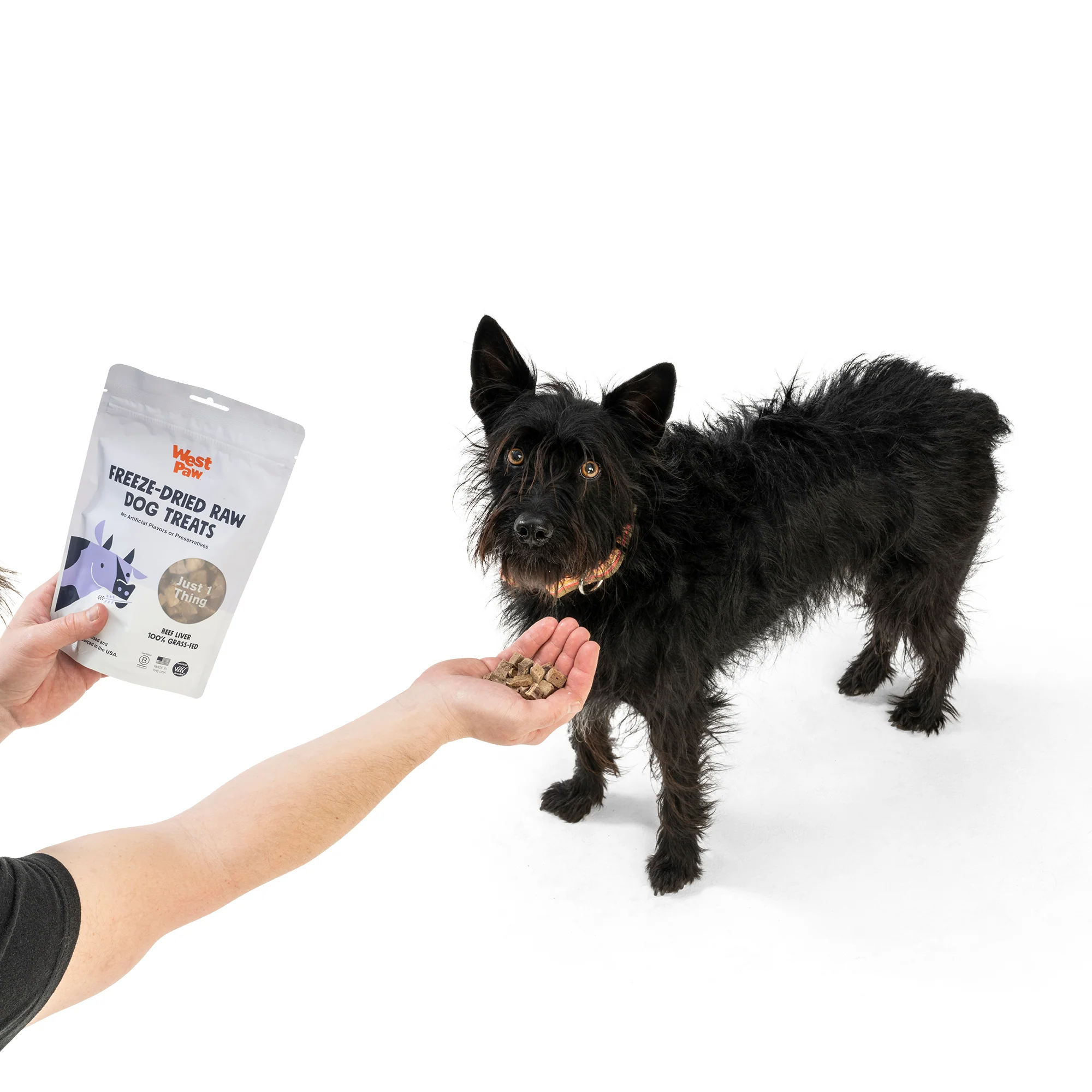 Beef Liver Freeze Dried Raw Single Ingredient Dog Treats - Image 3