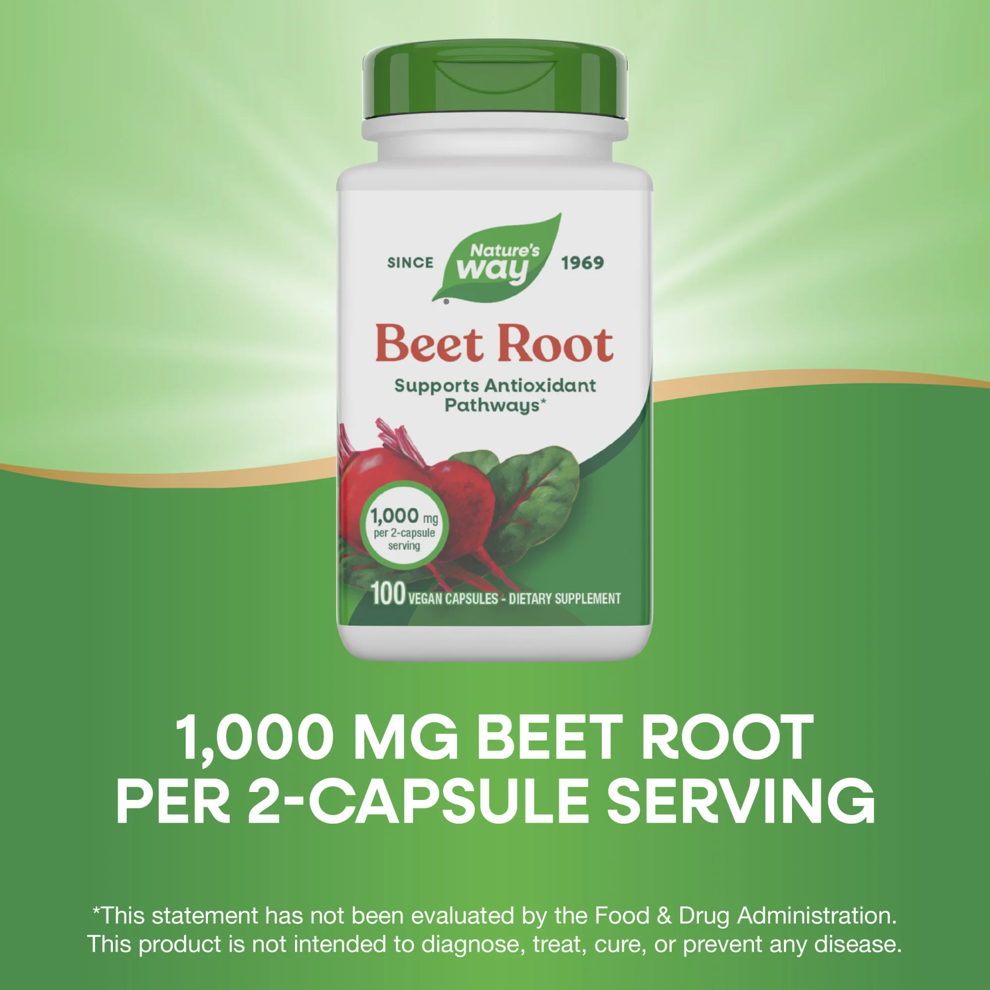 Beet Root - Image 4