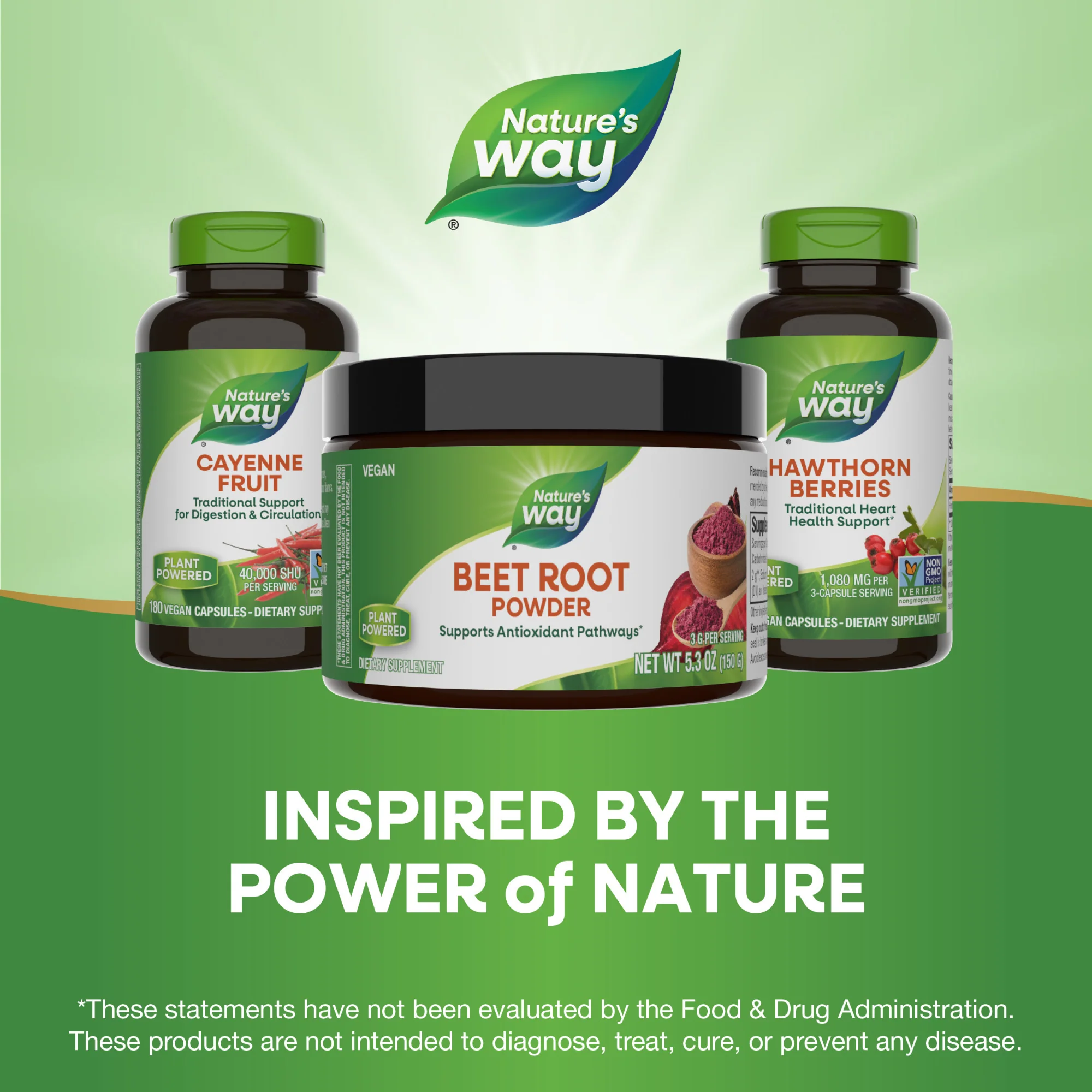 Beet Root Powder - Image 6