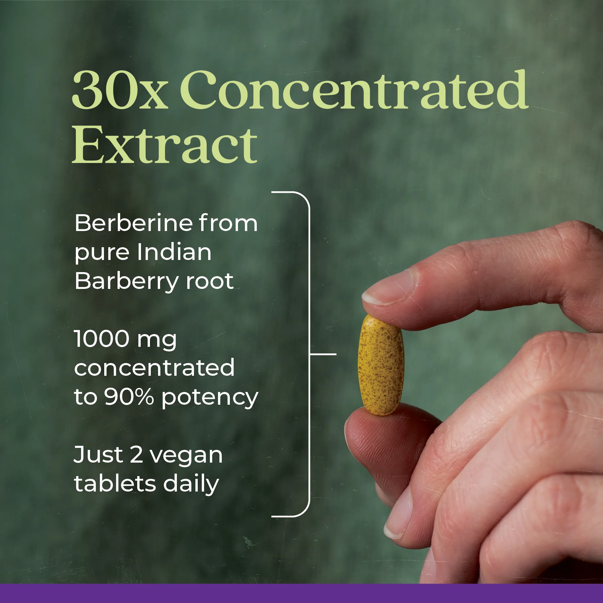 Berberine - 1000mg - Image 7