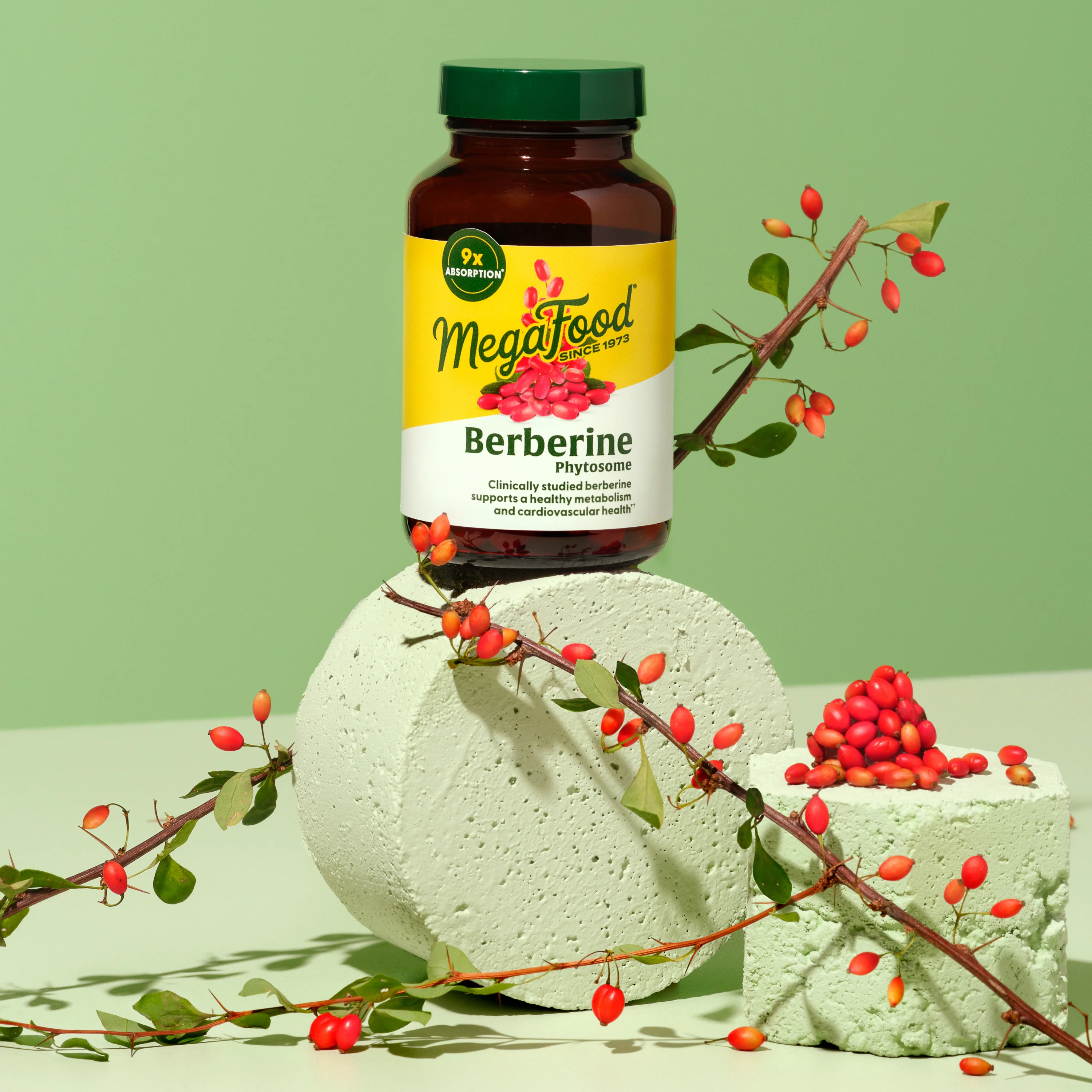 Berberine Phytosome - Image 4