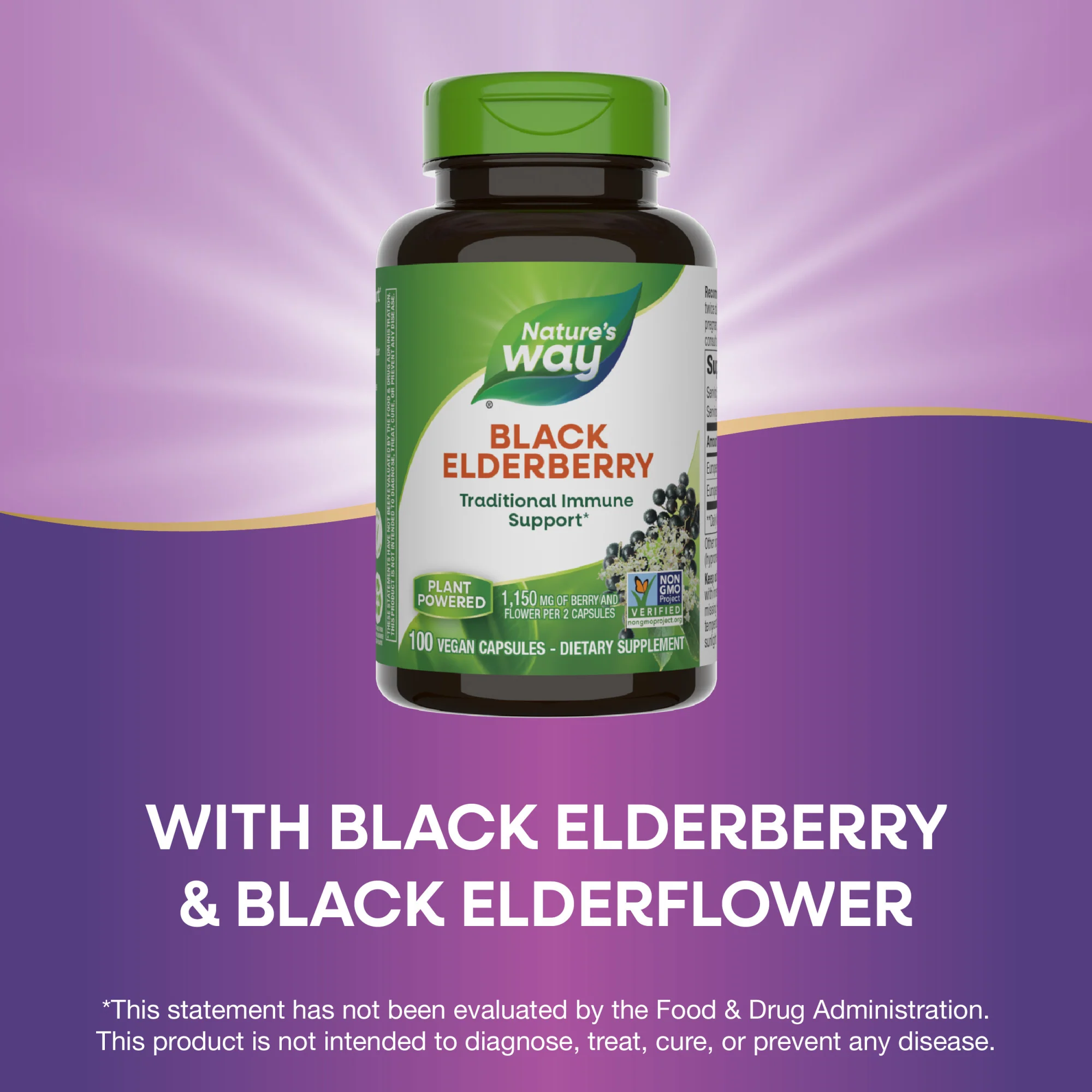 Black Elderberry - For Traditional Immune Support - Image 10