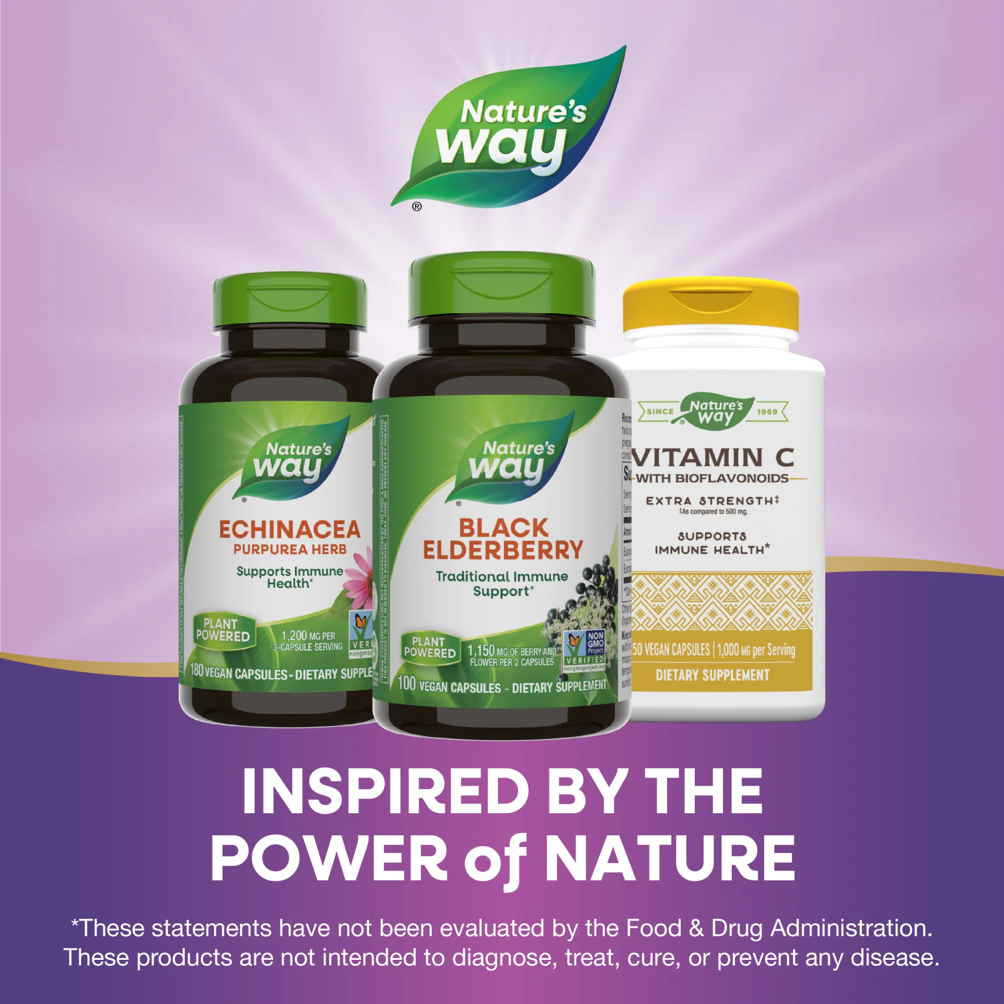 Black Elderberry - For Traditional Immune Support - Image 4