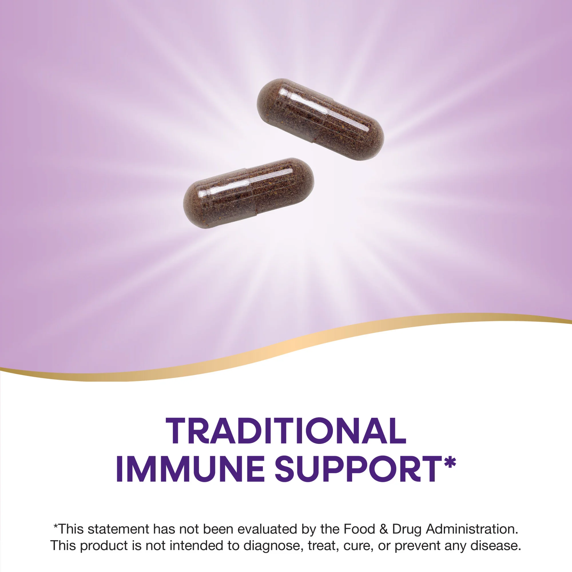 Black Elderberry - For Traditional Immune Support - Image 9