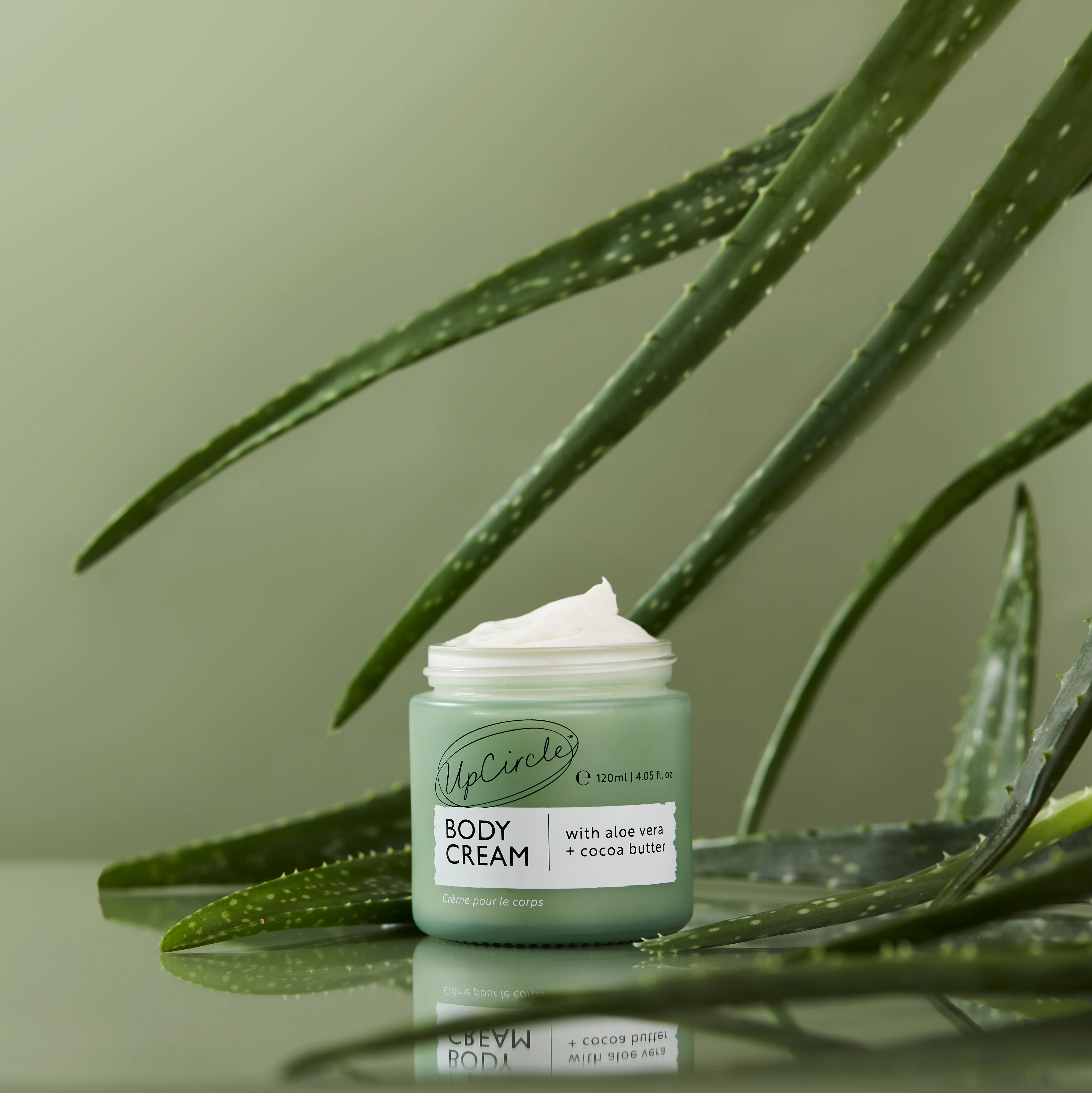 Body Cream with Aloe Vera + Cocoa Butter - Image 3