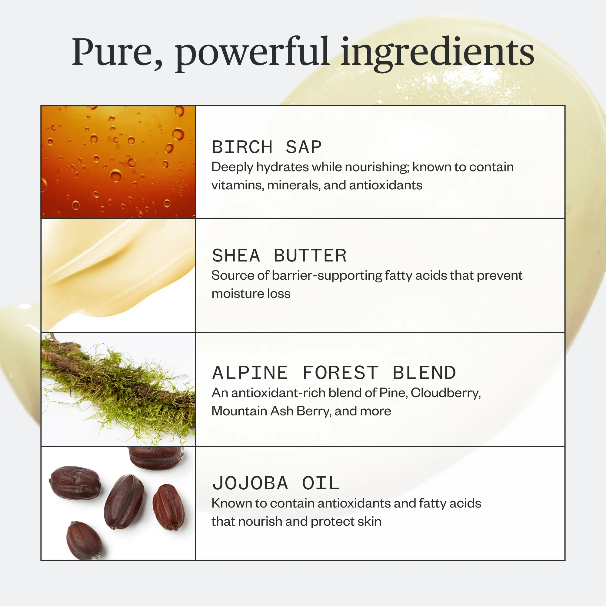 Botanic Buzz Hand Cream - Image 7