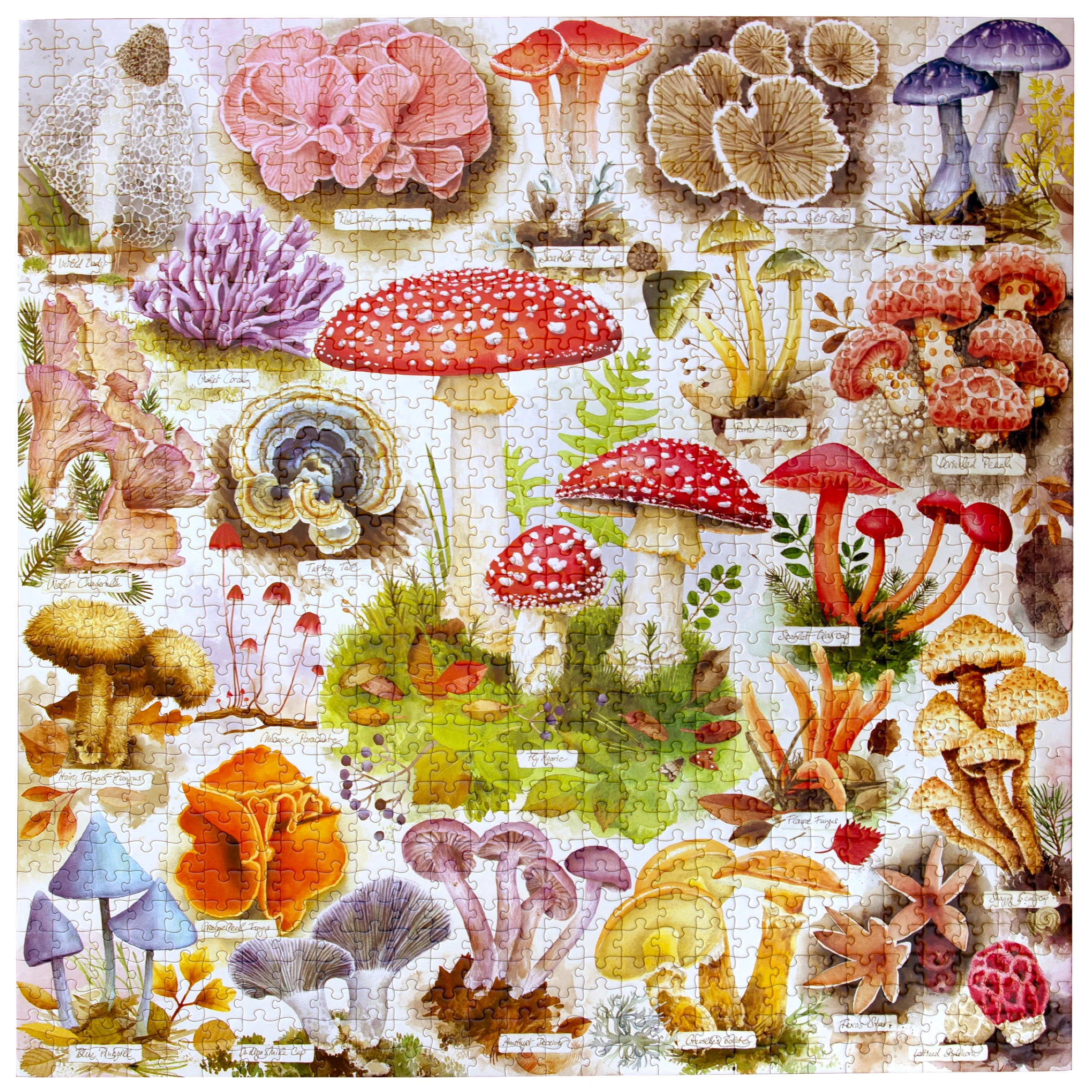Bountiful Mushrooms 1000 Piece Puzzle - Image 3