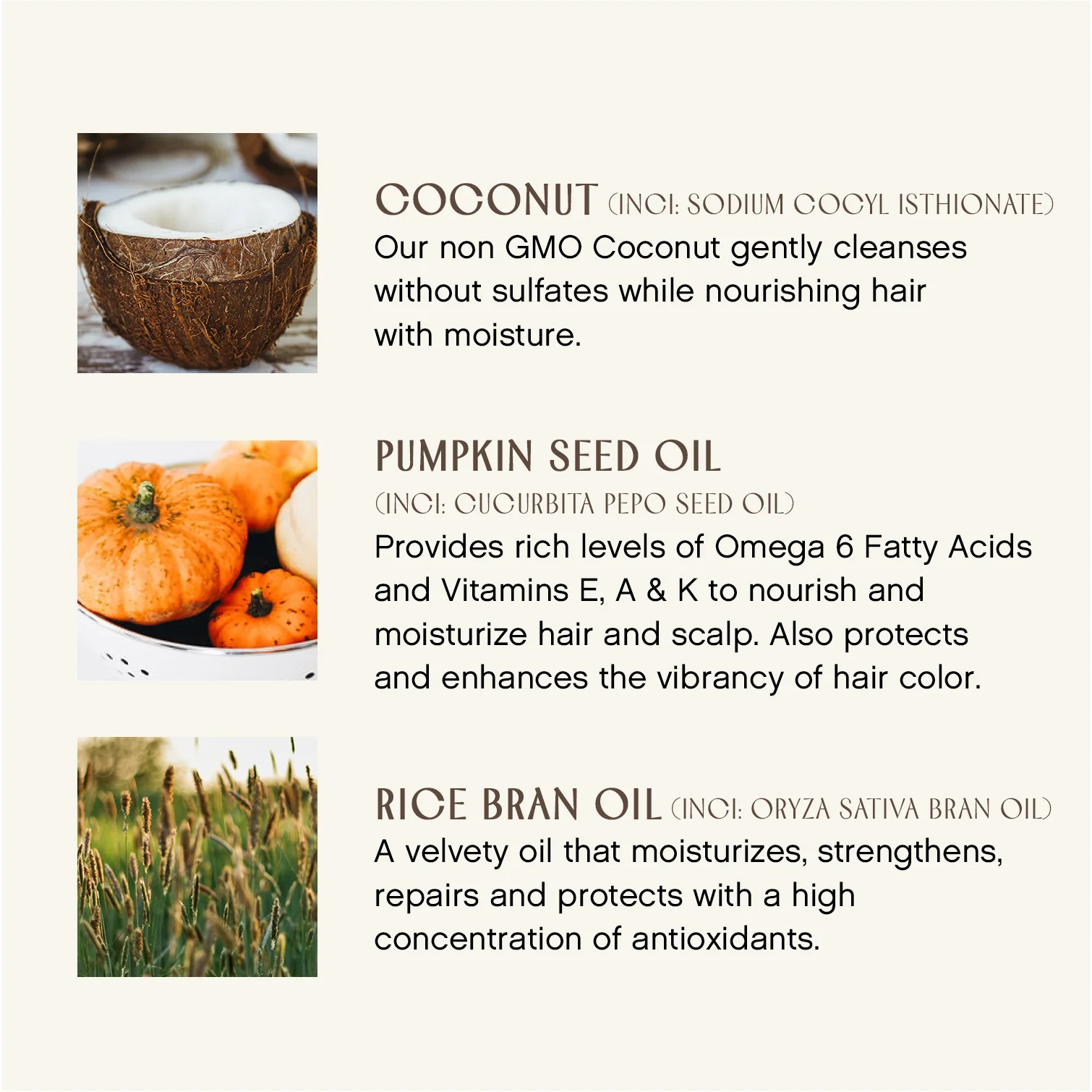 Bright Balance Conditioner - Image 3