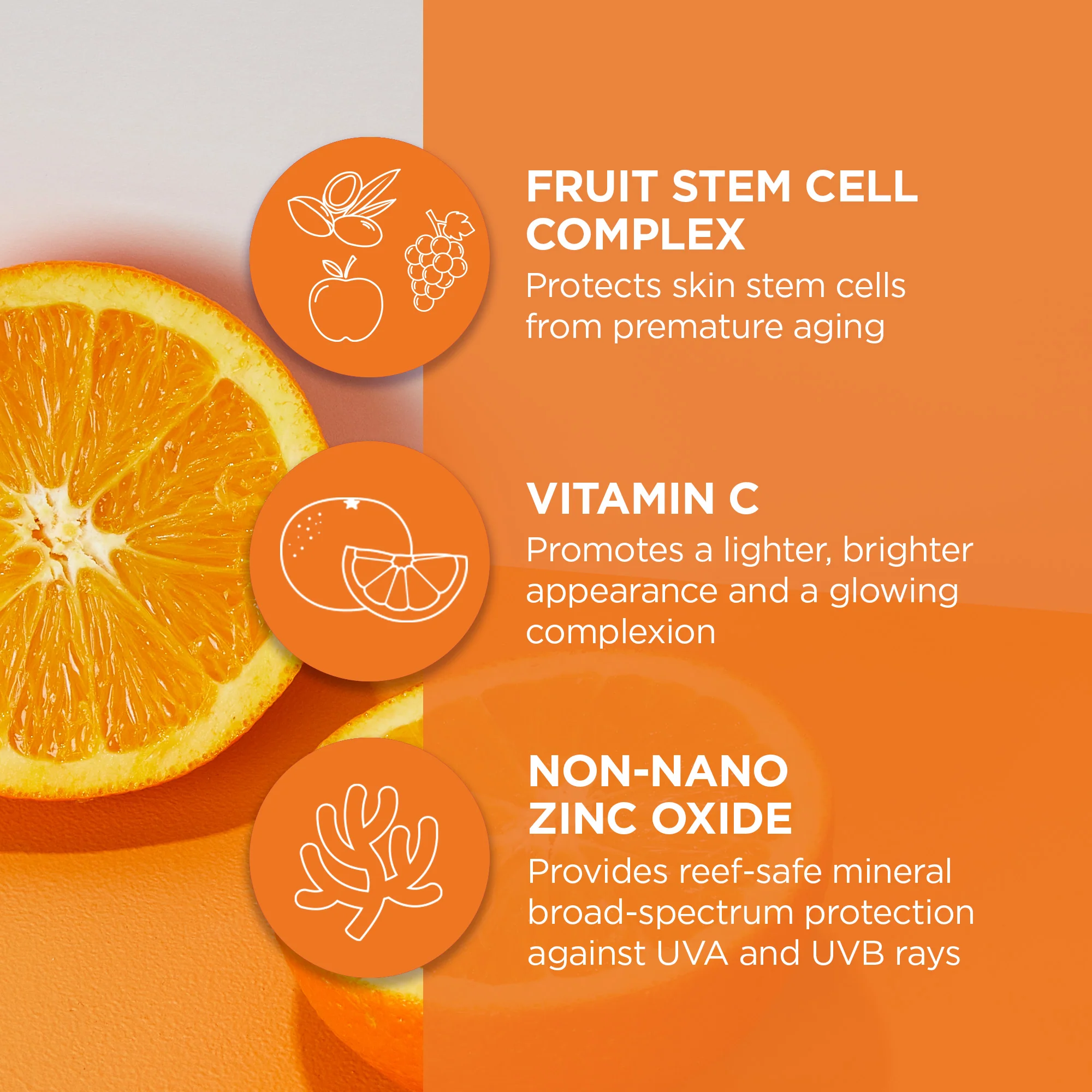 Brightening Vitamin C BB Beauty Balm Sheer Tint SPF 30 - Image 4