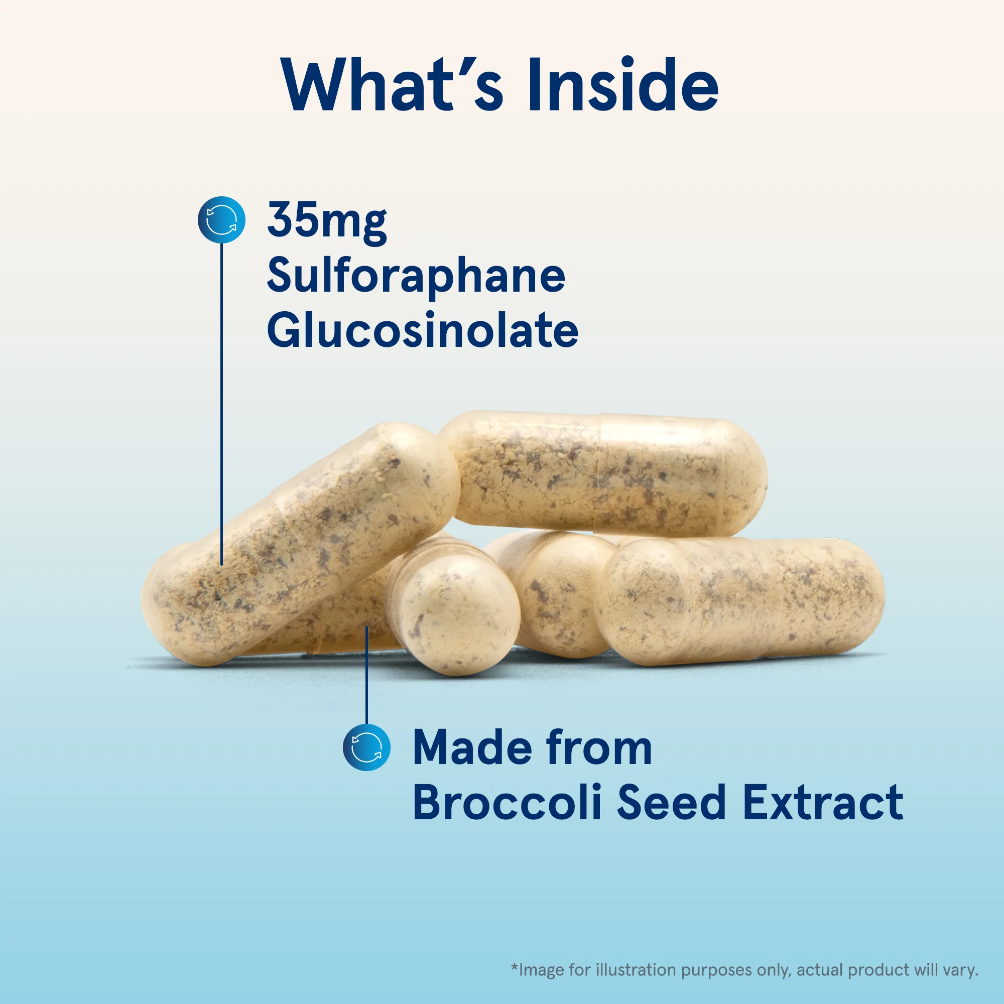 BroccoMax with Sulforaphane - Image 4