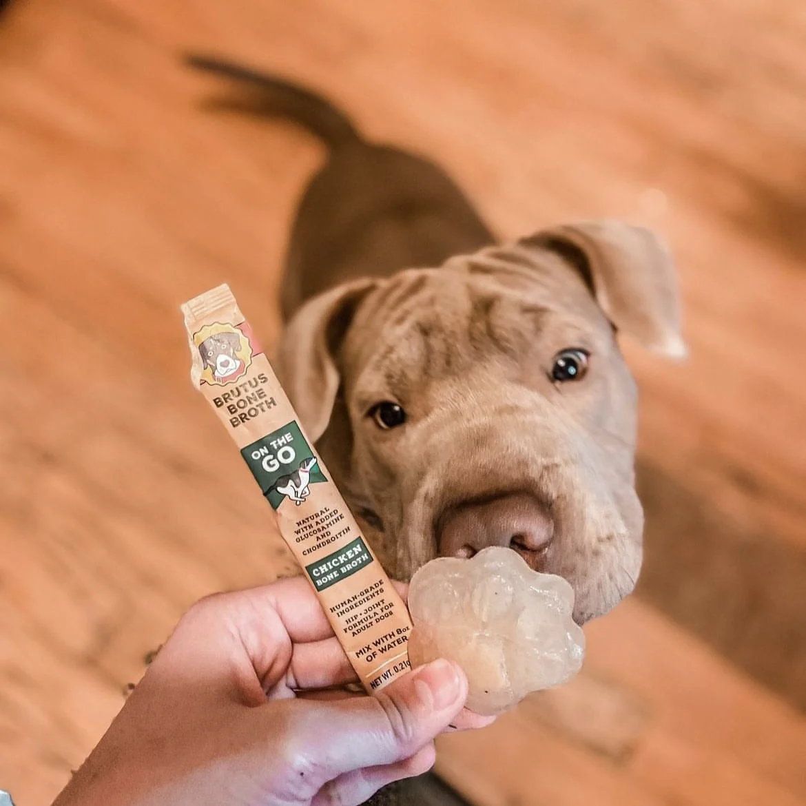 Brutus on the Go: Hip & Joint Instant Bone Broth Mega Pack - Image 6