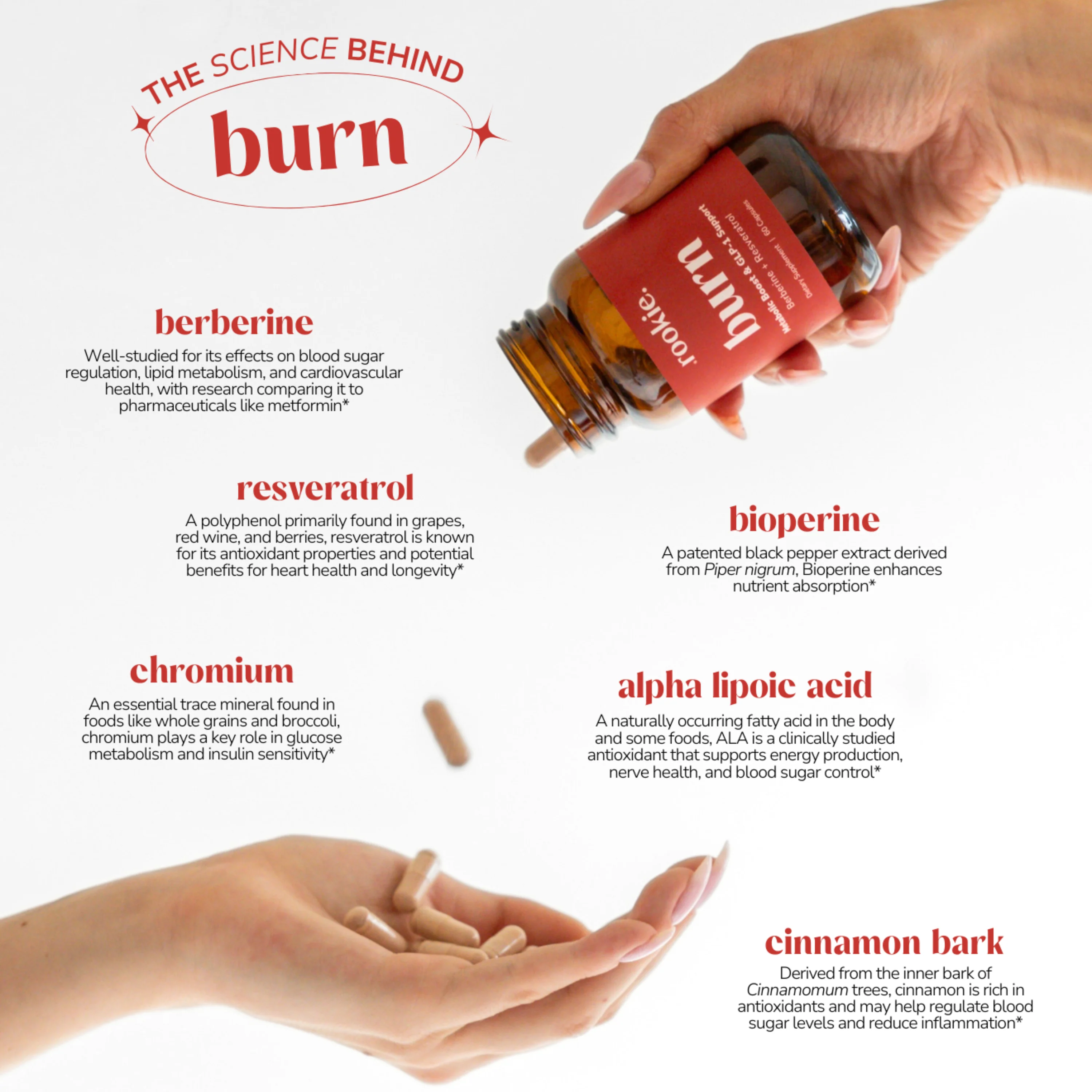 Burn Capsules, Metabolic Boost & GLP-1 Support - Image 6