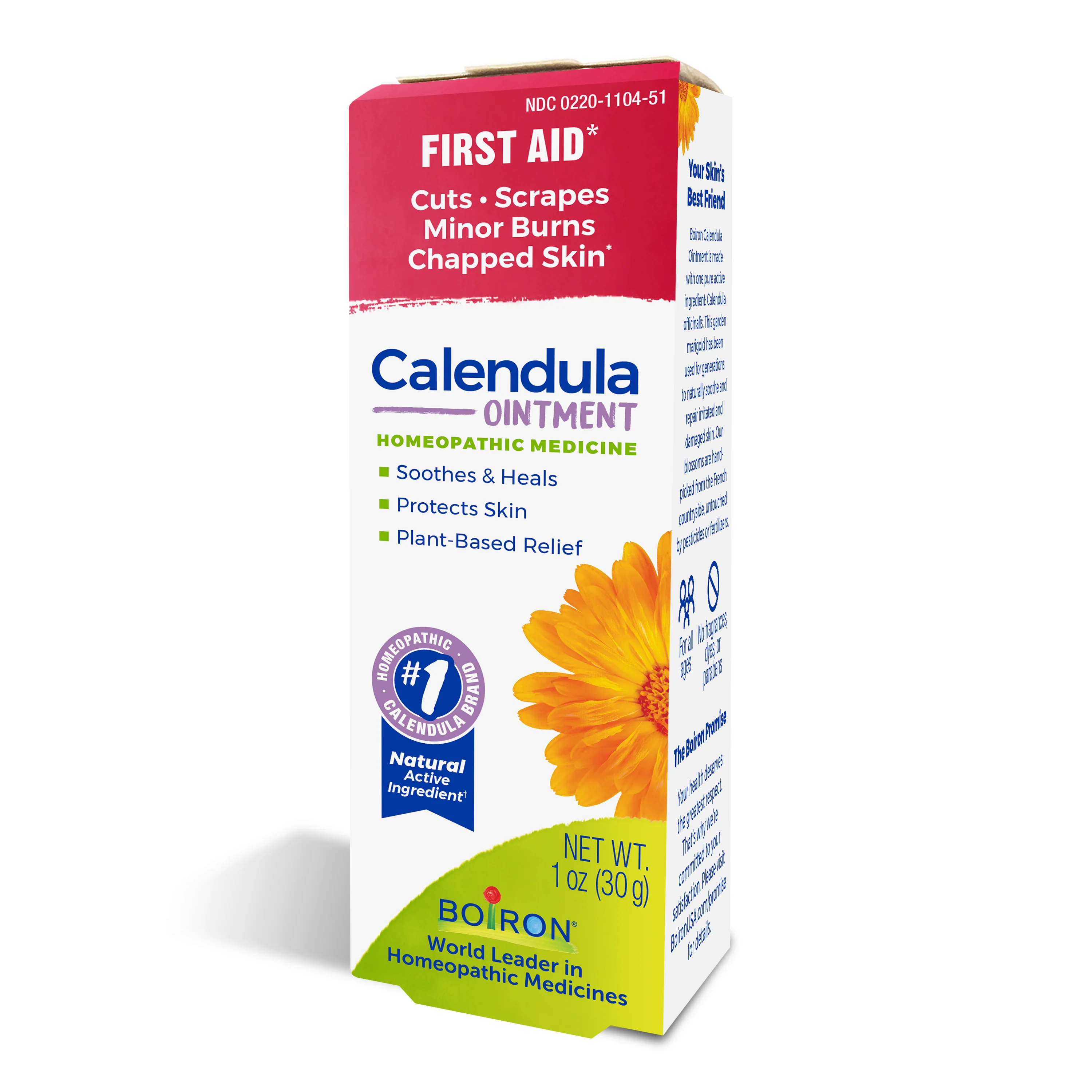 Calendula Ointment - Image 3