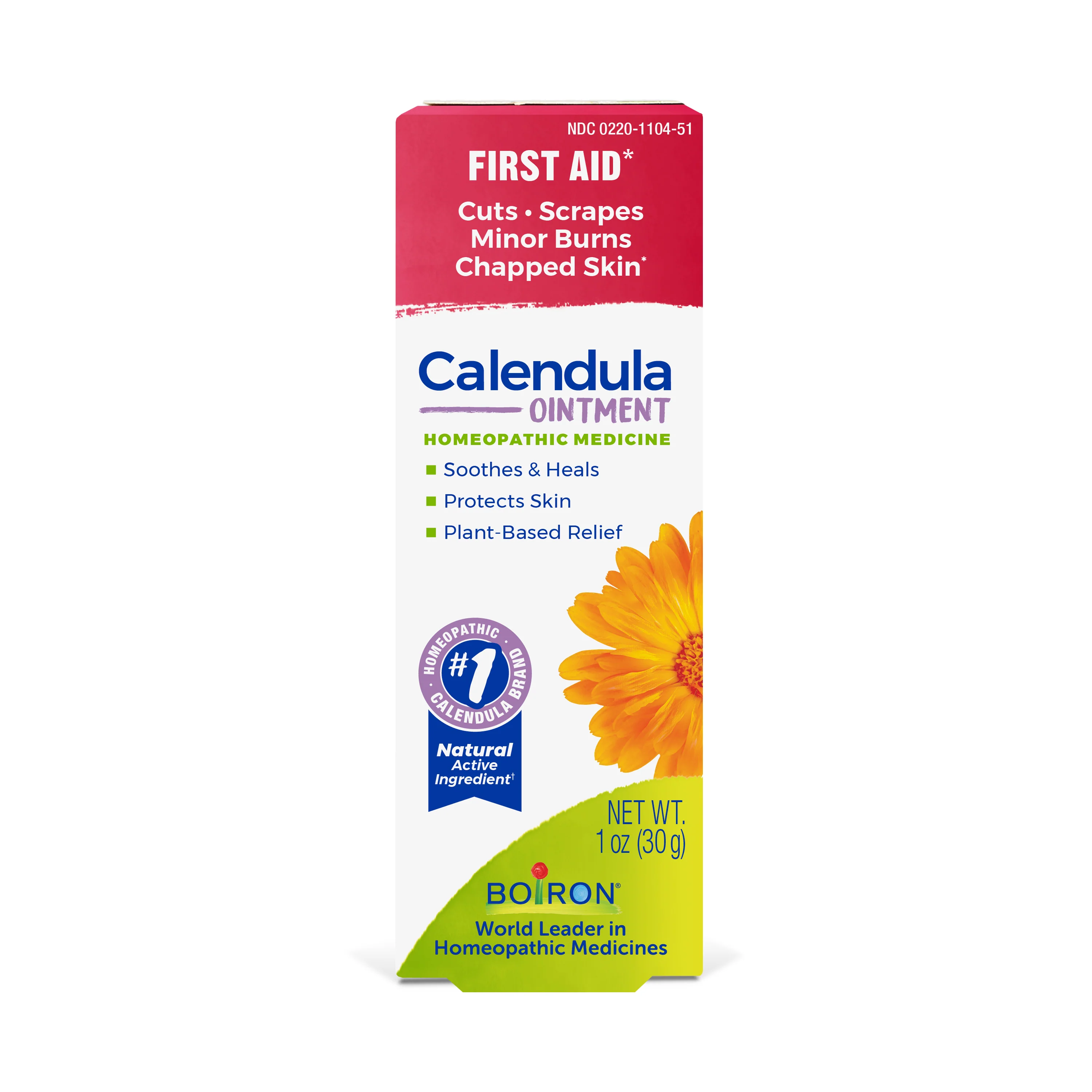 Calendula Ointment - Image 4