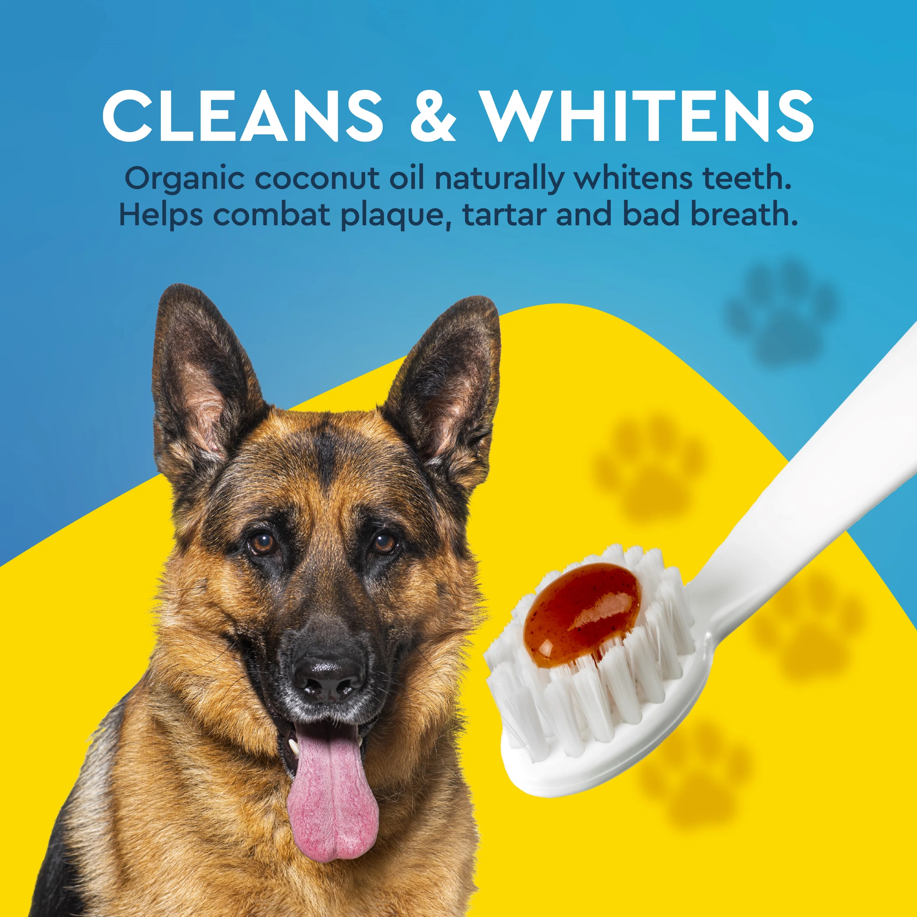 Canine Organic Dental Solutions Kit, All Ages - Image 4
